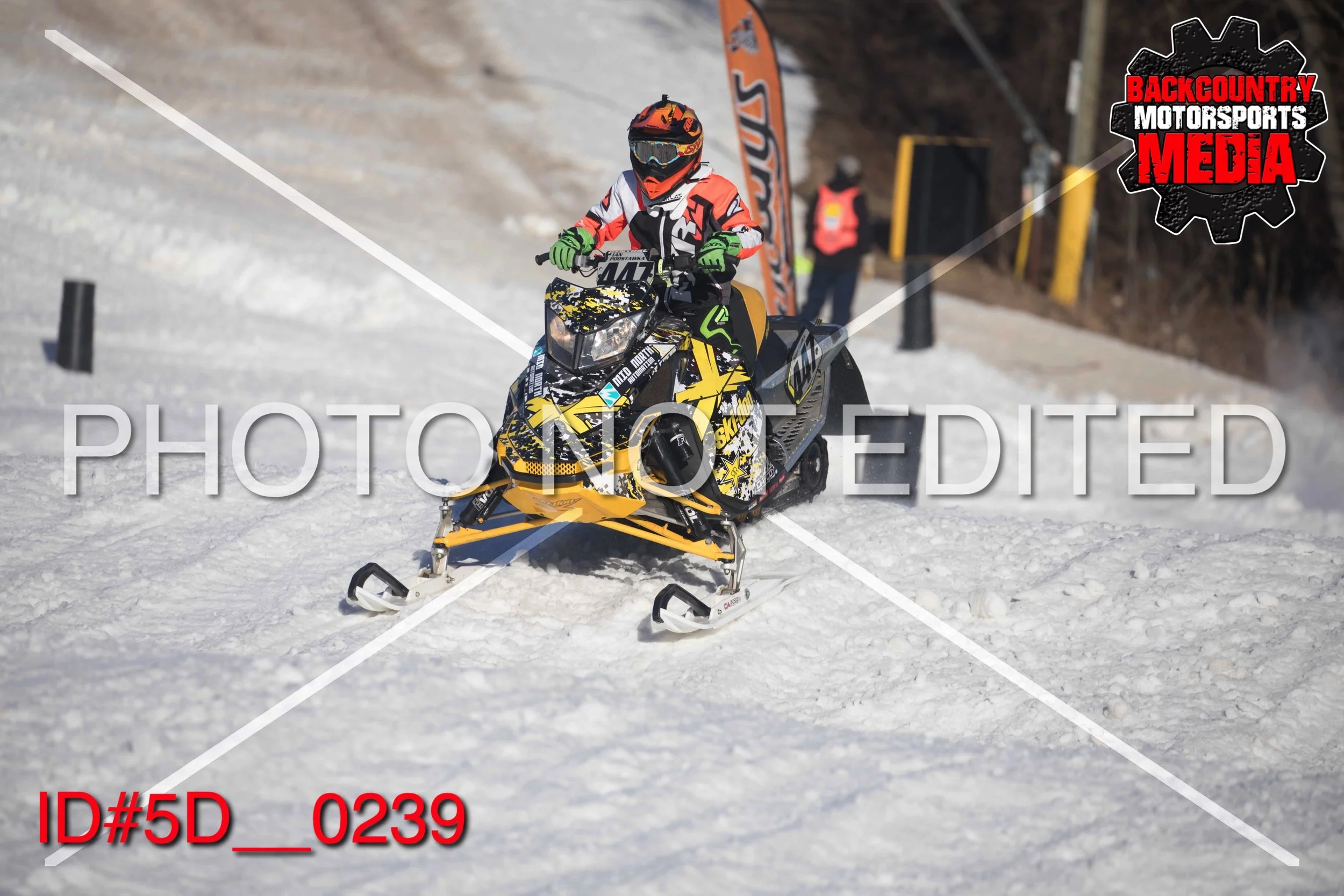 5D__0239.jpg