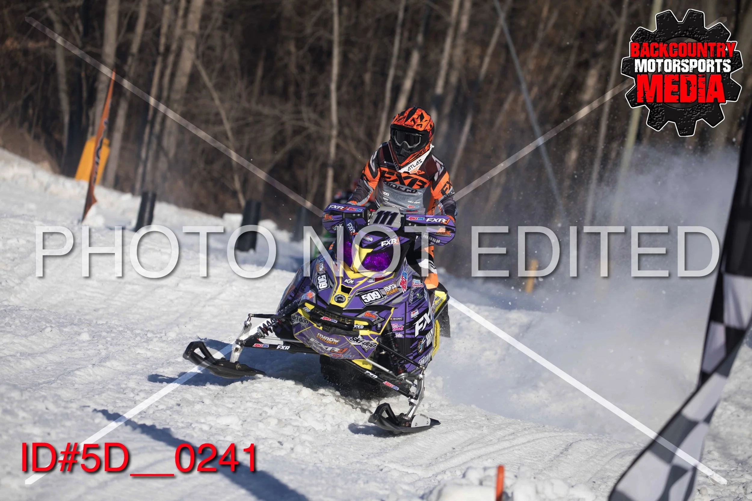 5D__0241.jpg