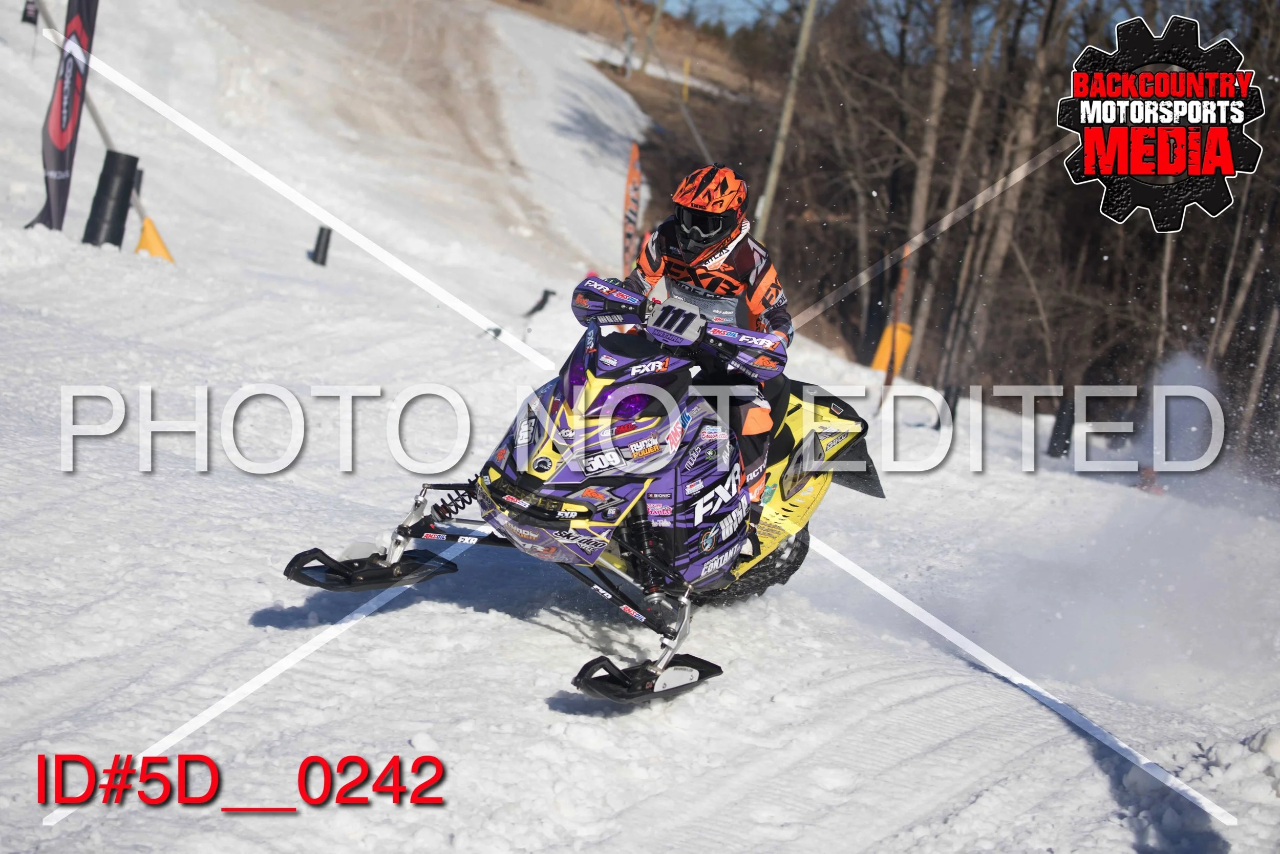 5D__0242.jpg