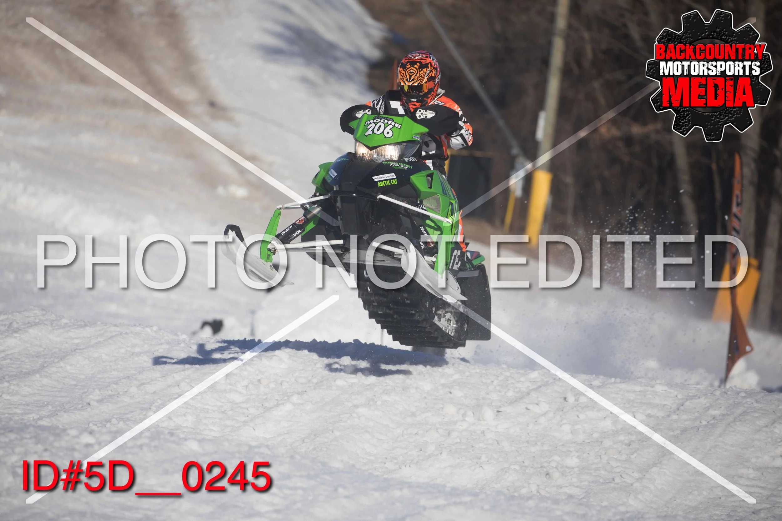 5D__0245.jpg