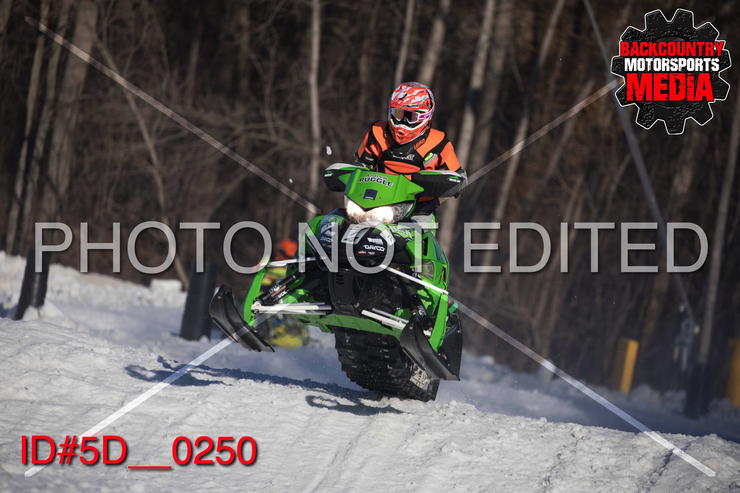 5D__0250.jpg