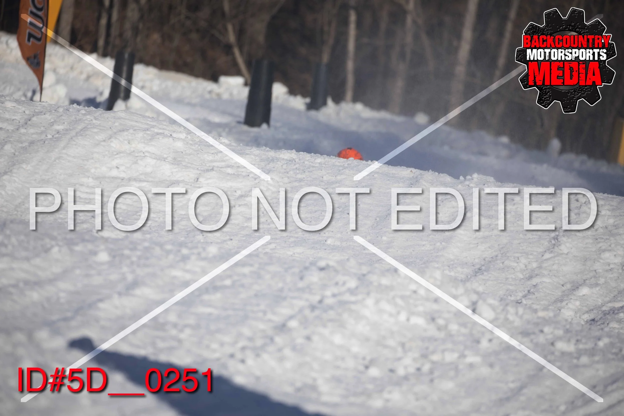 5D__0251.jpg