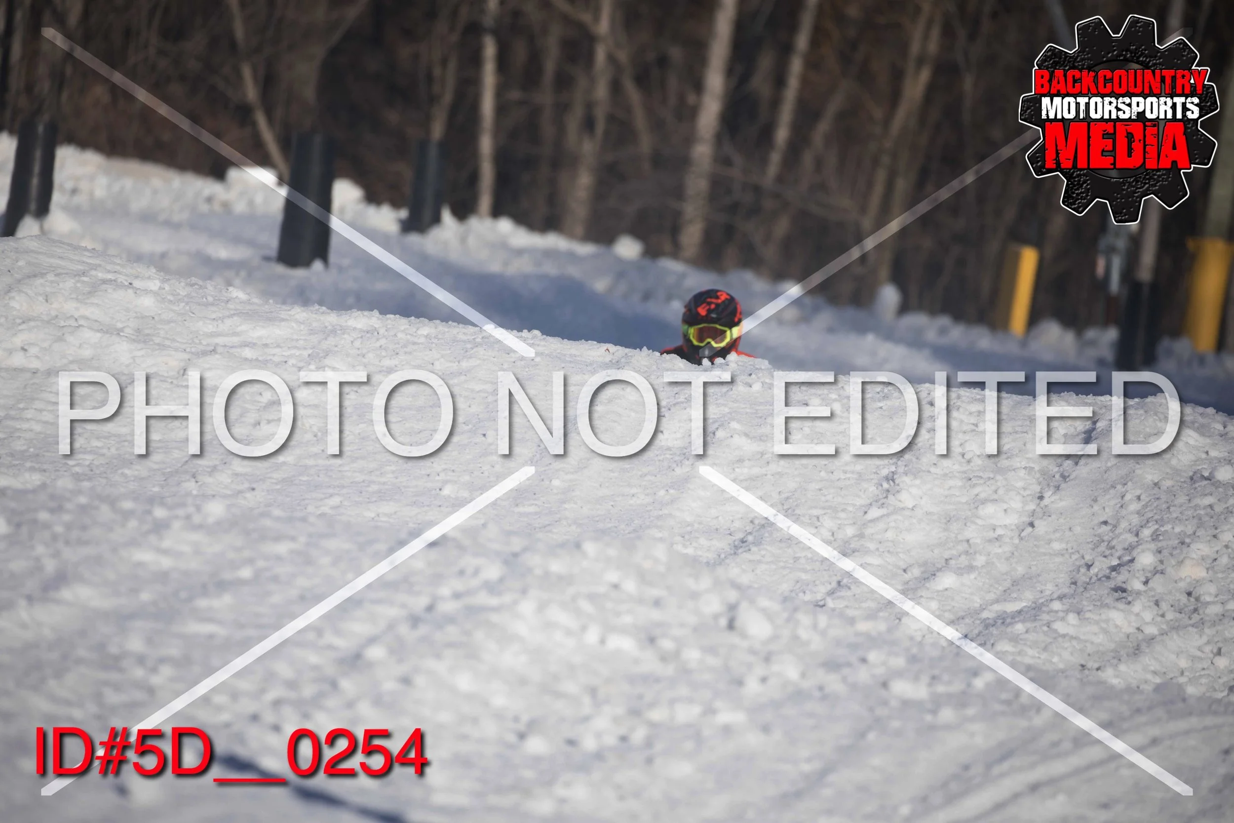 5D__0254.jpg