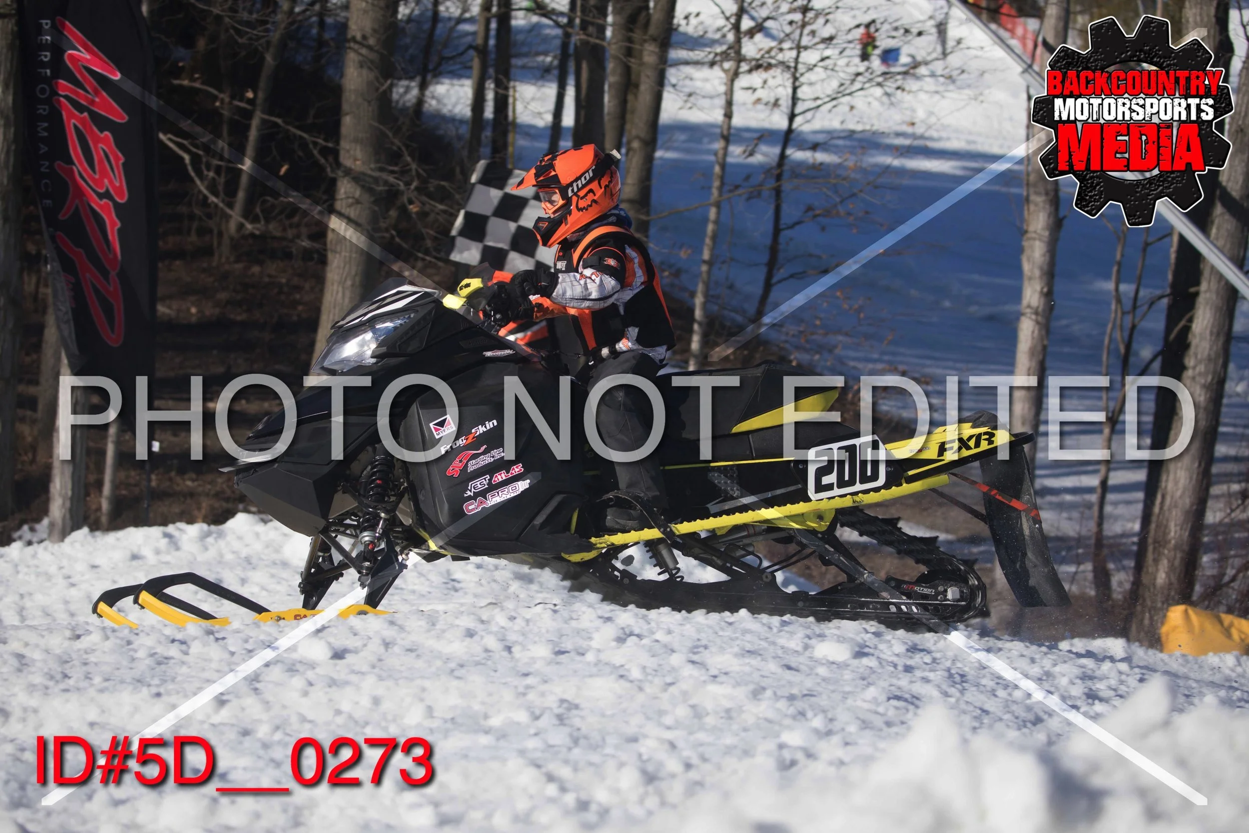 5D__0273.jpg