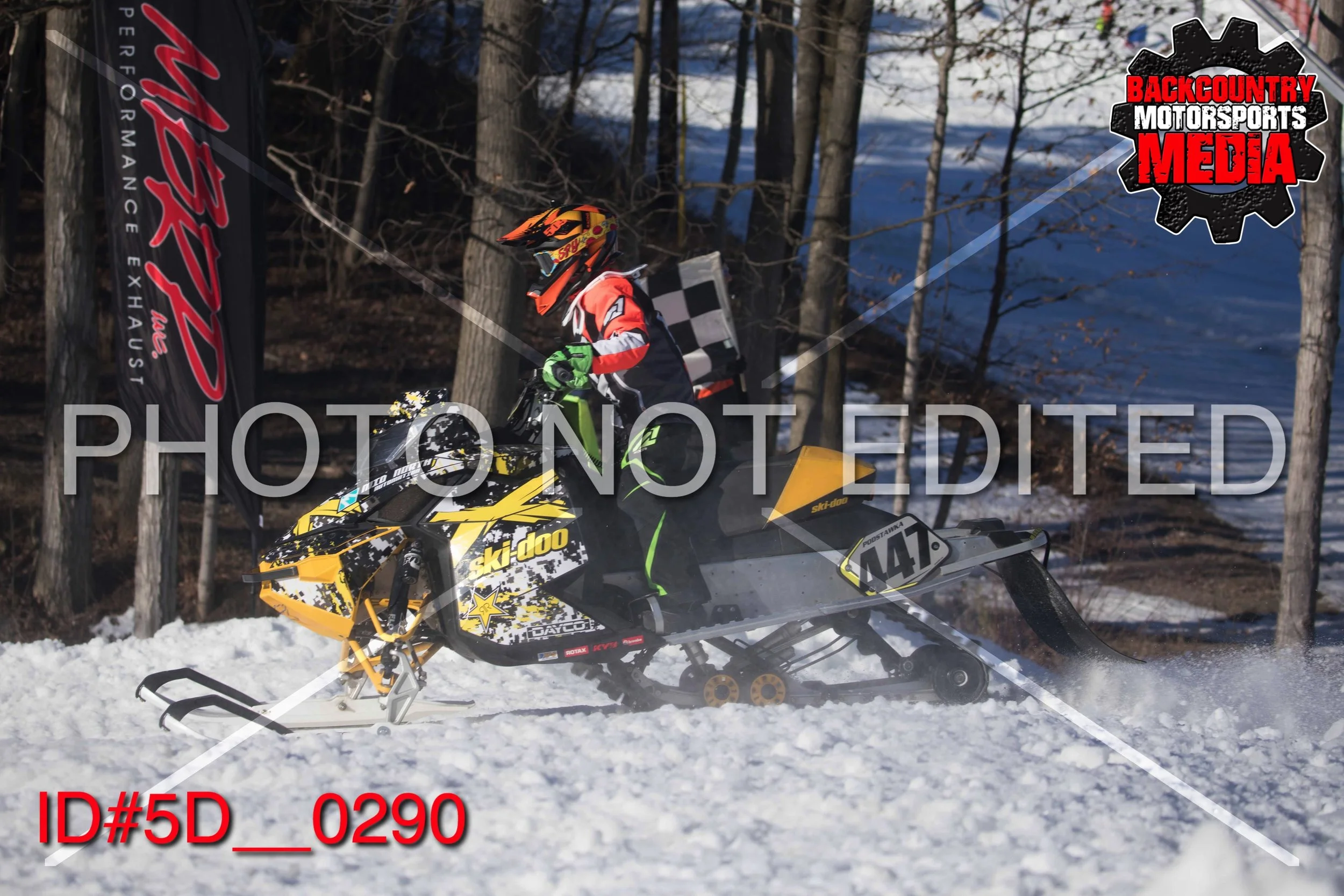 5D__0290.jpg