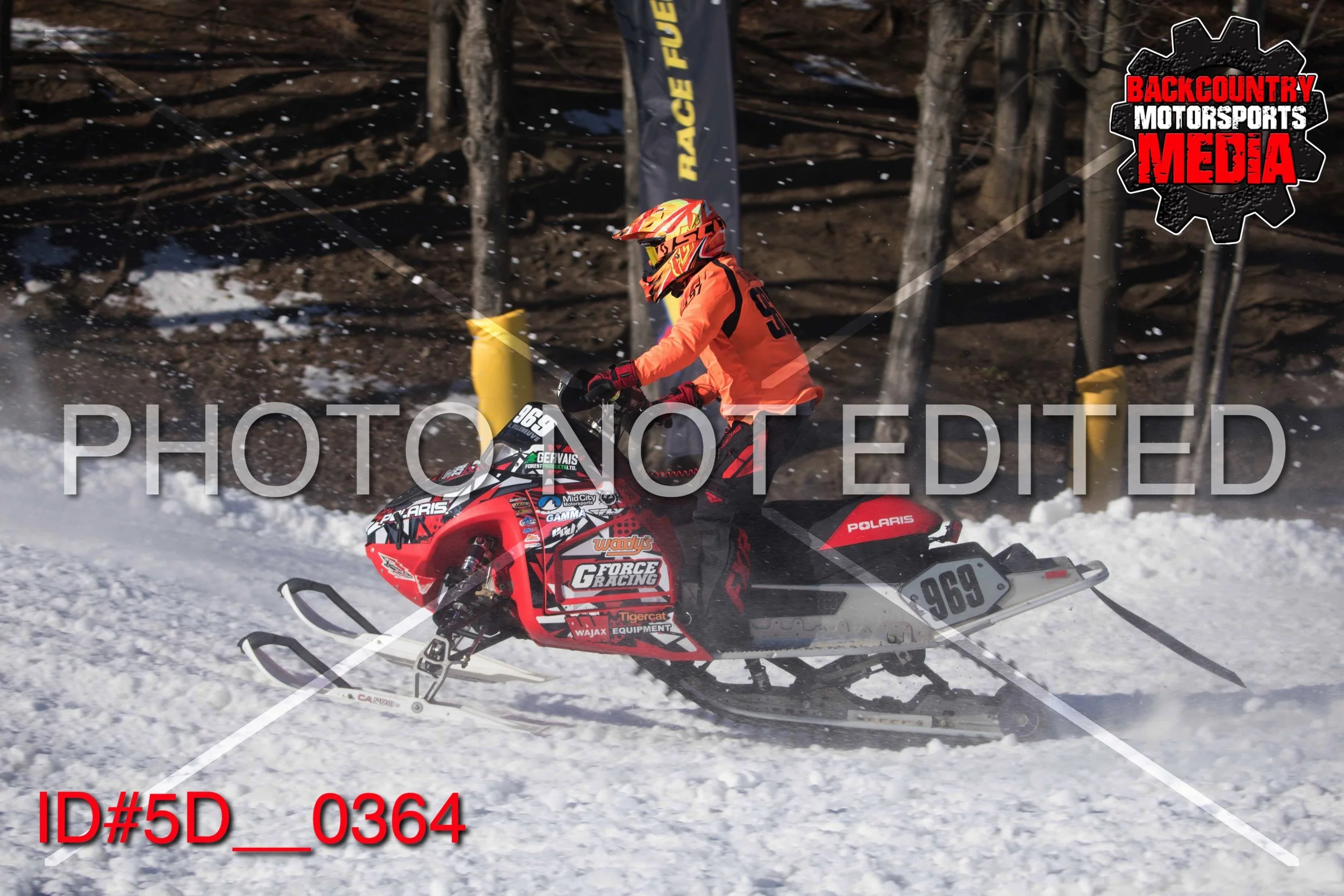 5D__0364.jpg