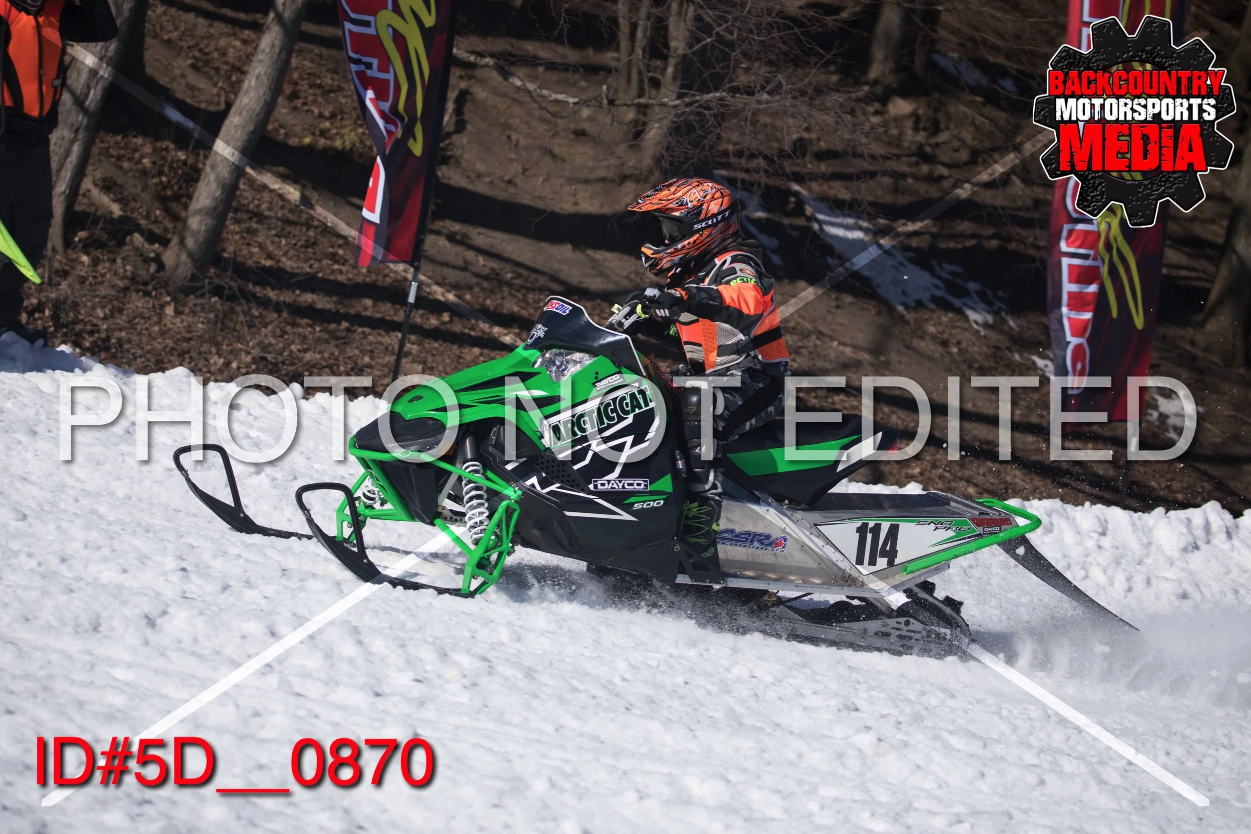 5D__0870.jpg