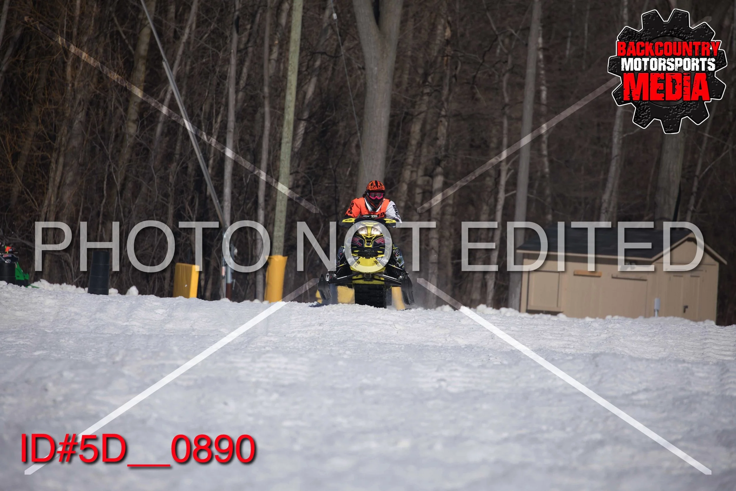 5D__0890.jpg