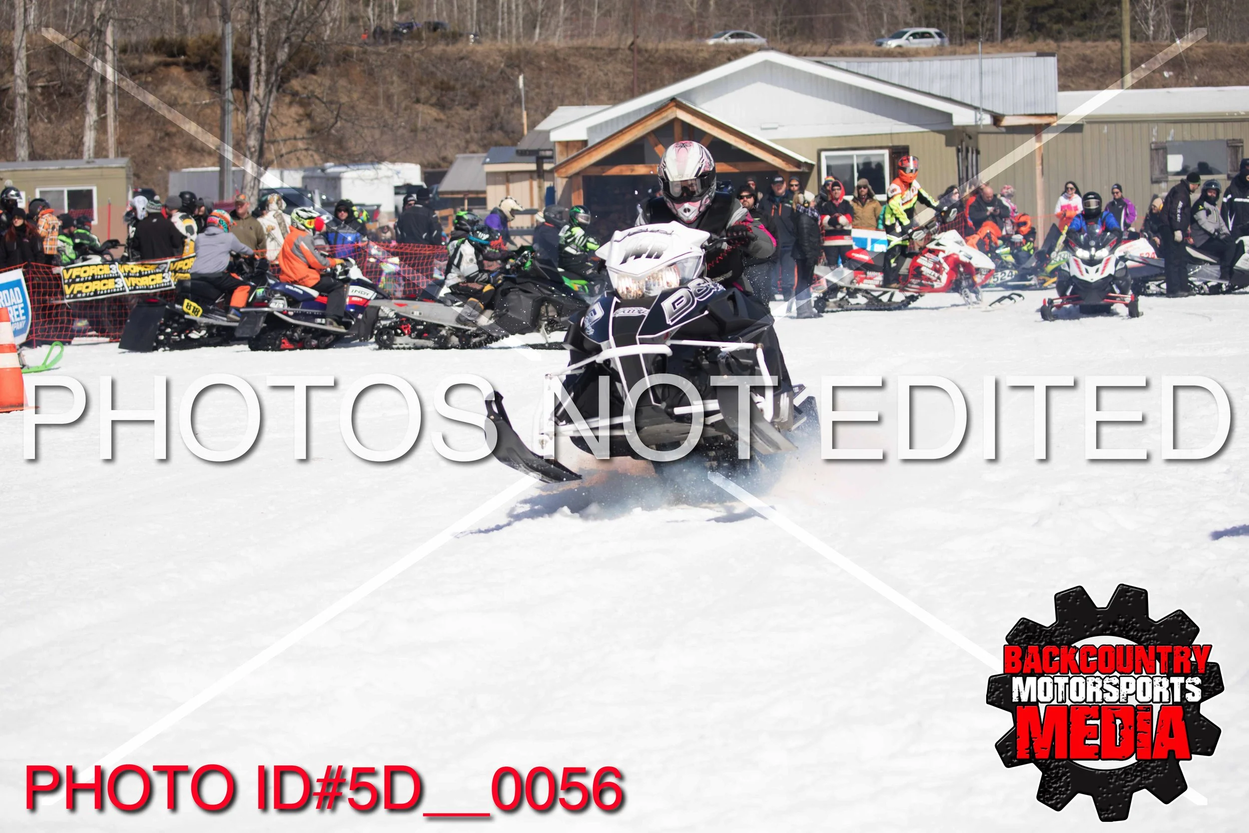 5D__0056.jpg