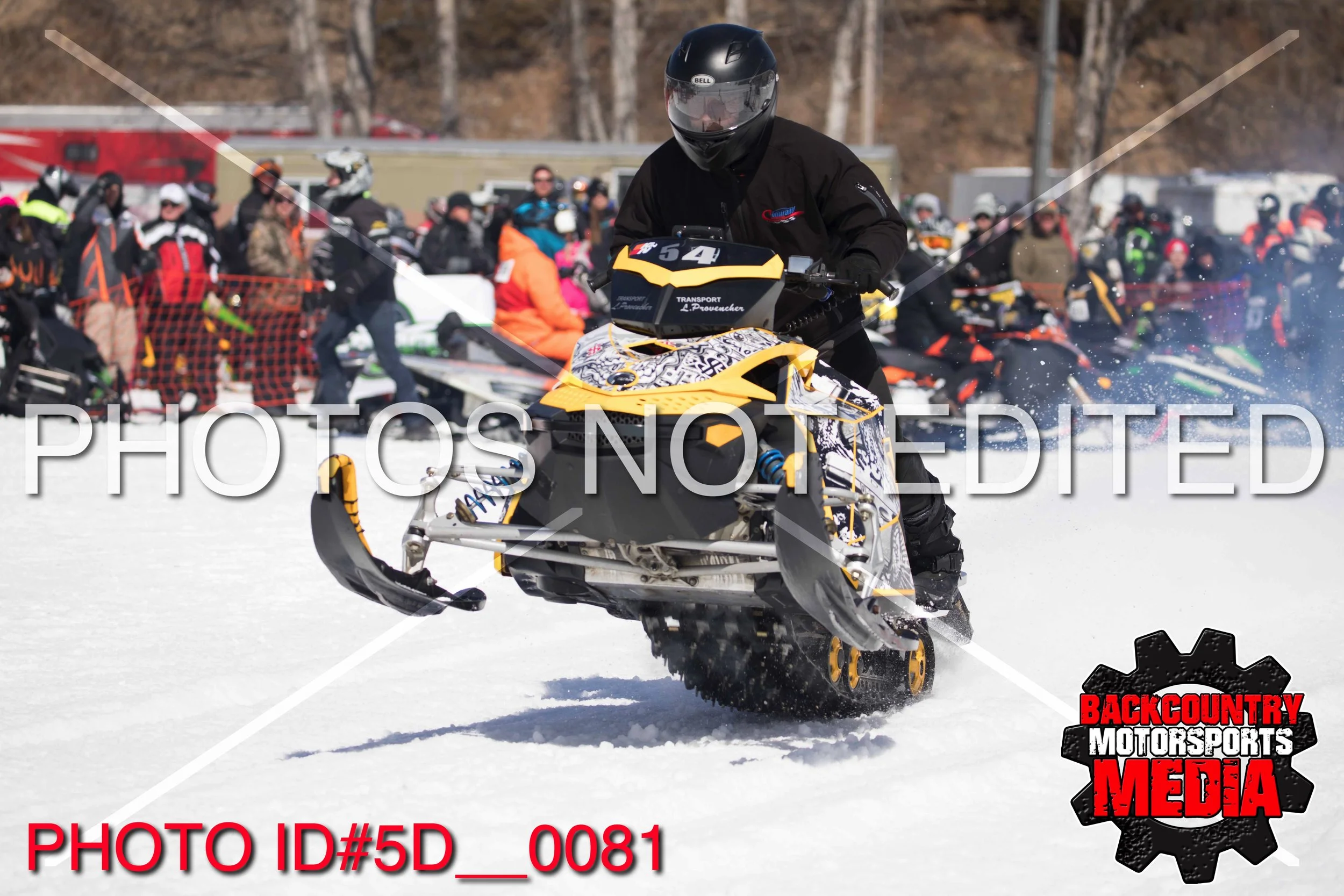 5D__0081.jpg