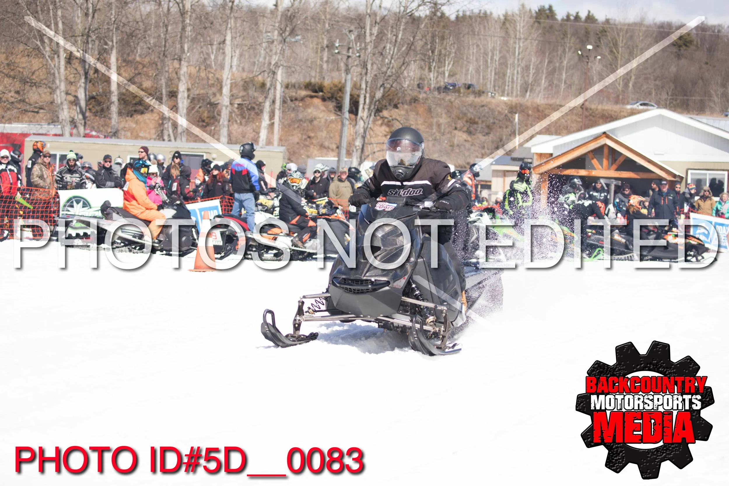 5D__0083.jpg