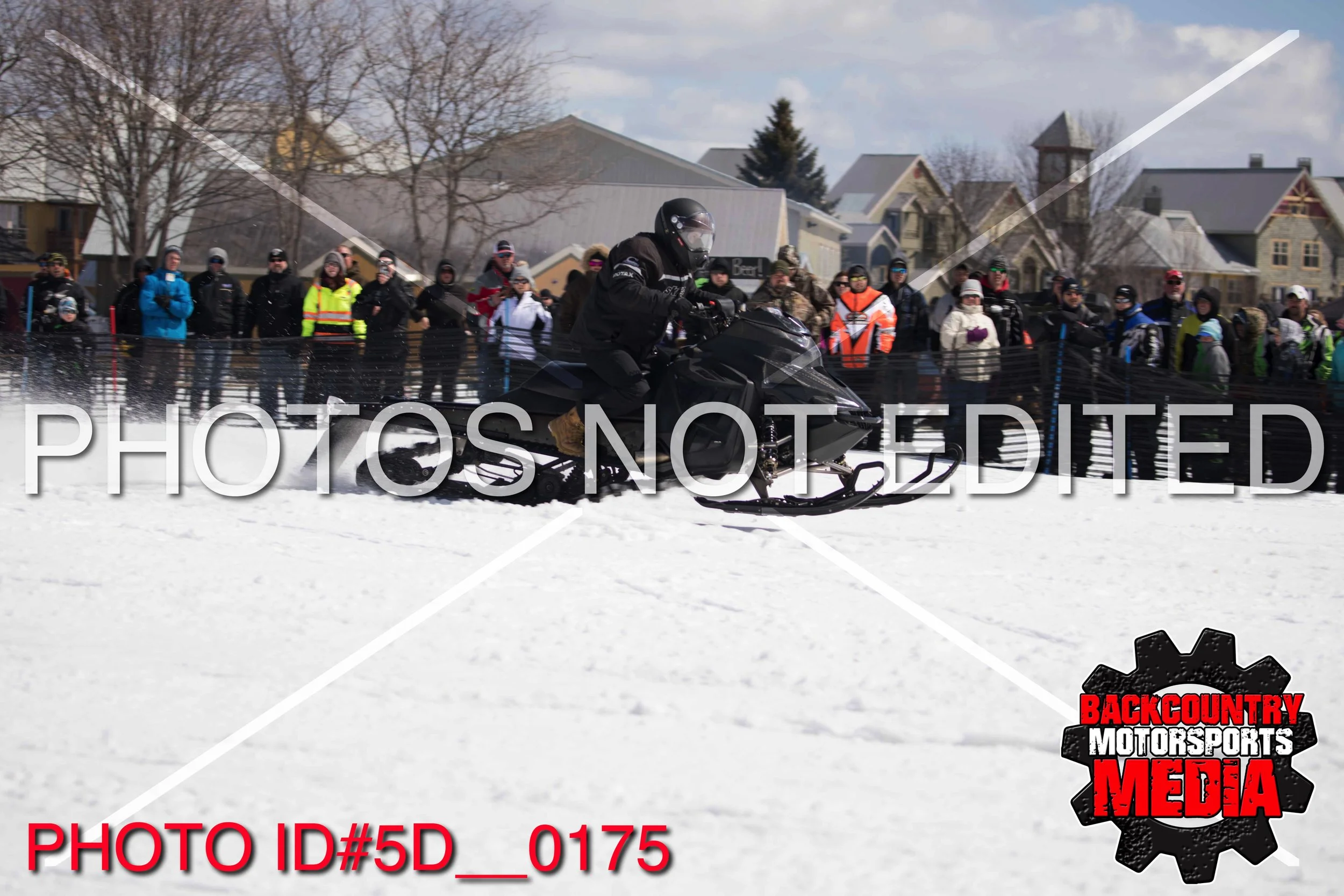 5D__0175.jpg