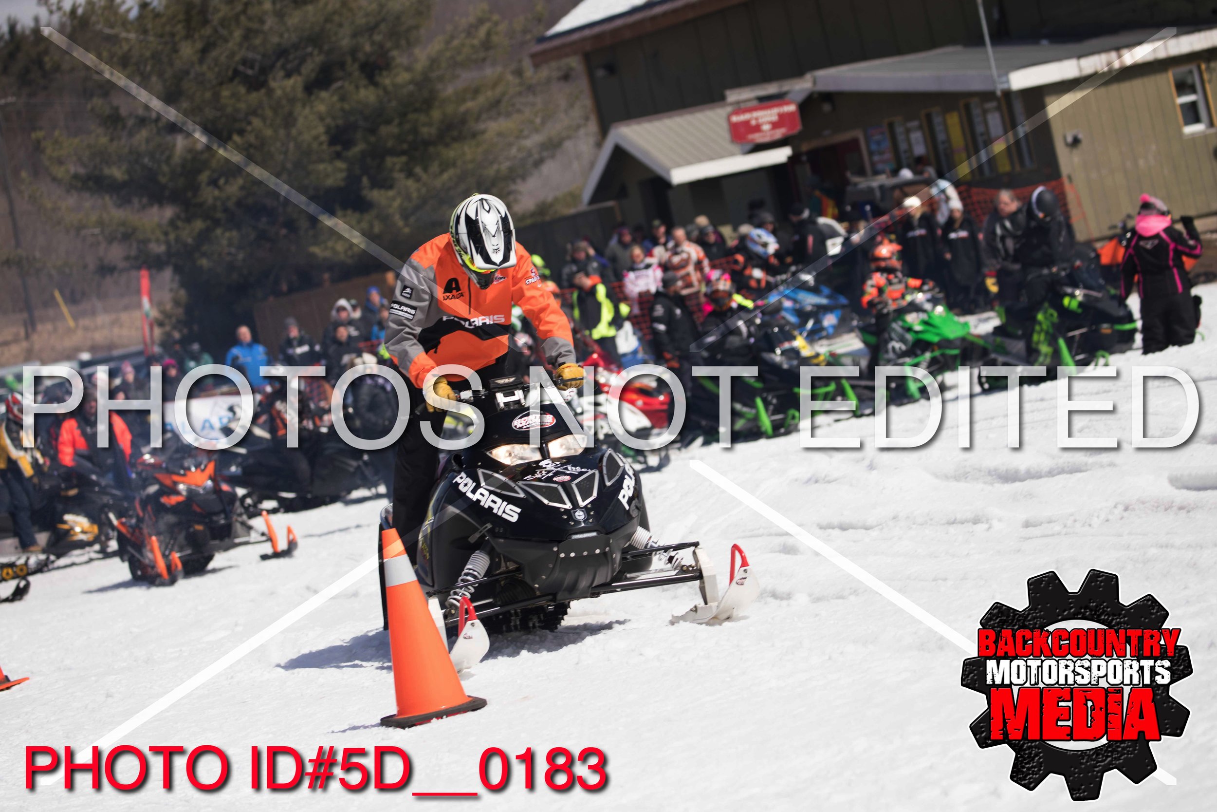 5D__0183.jpg