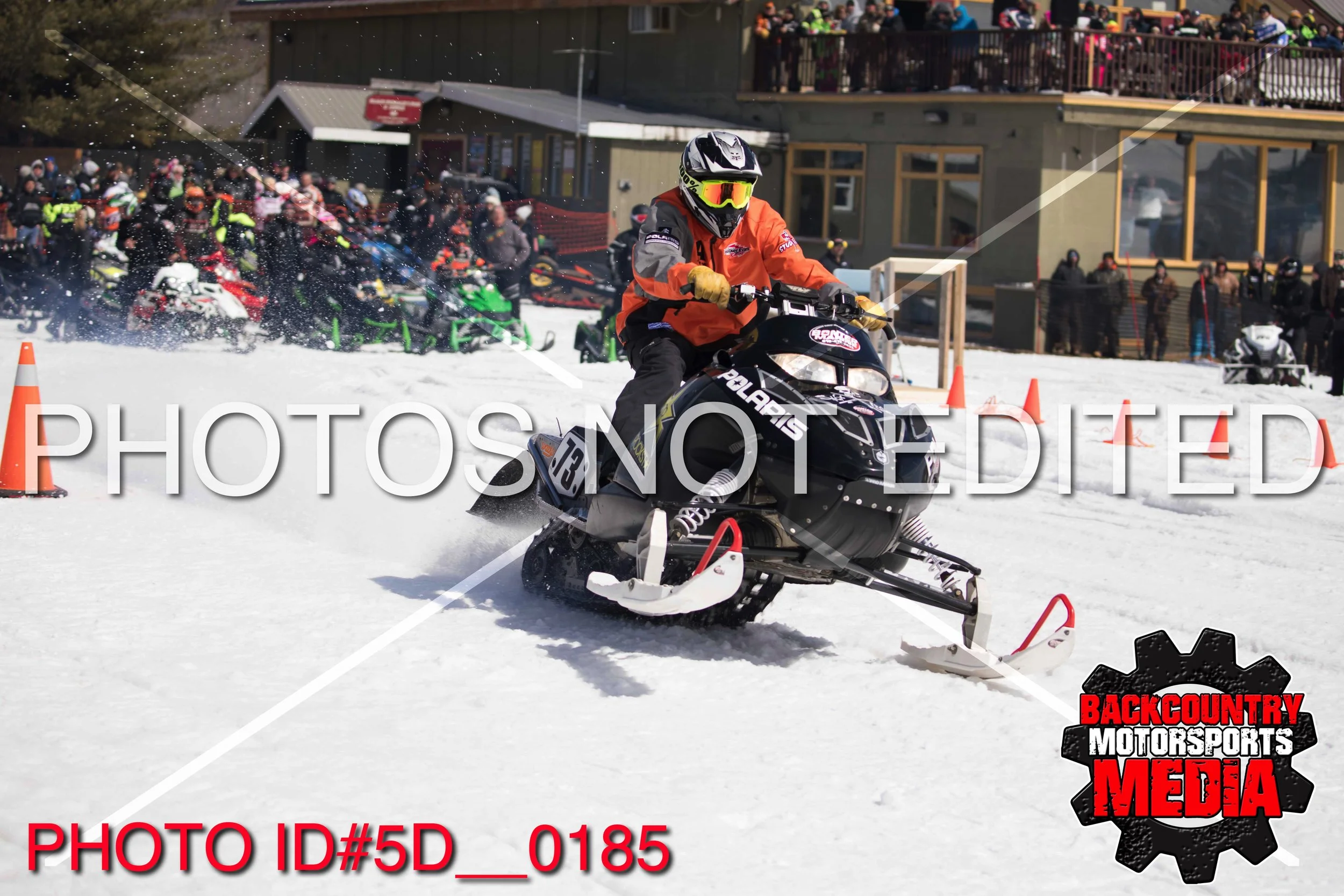 5D__0185.jpg