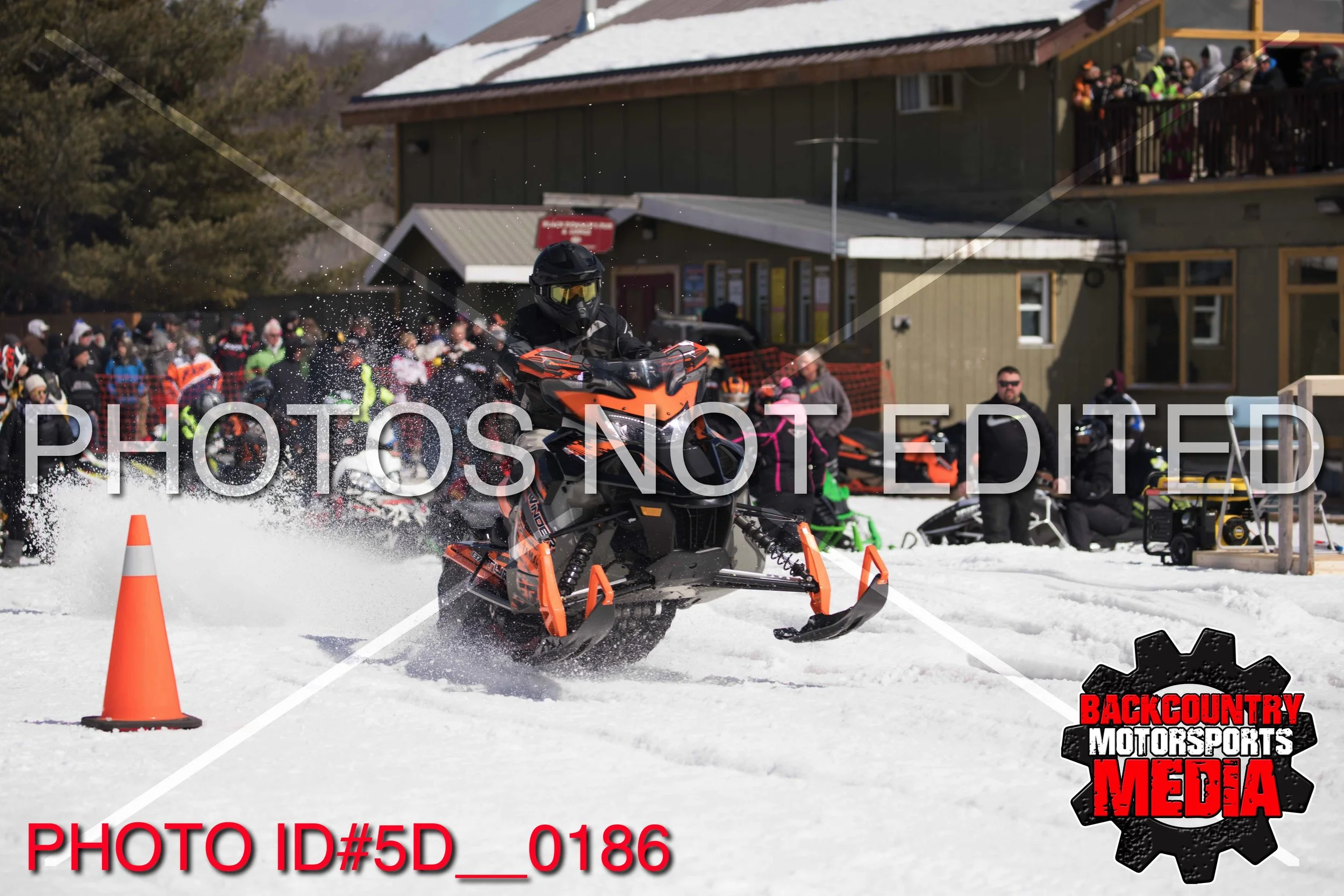 5D__0186.jpg