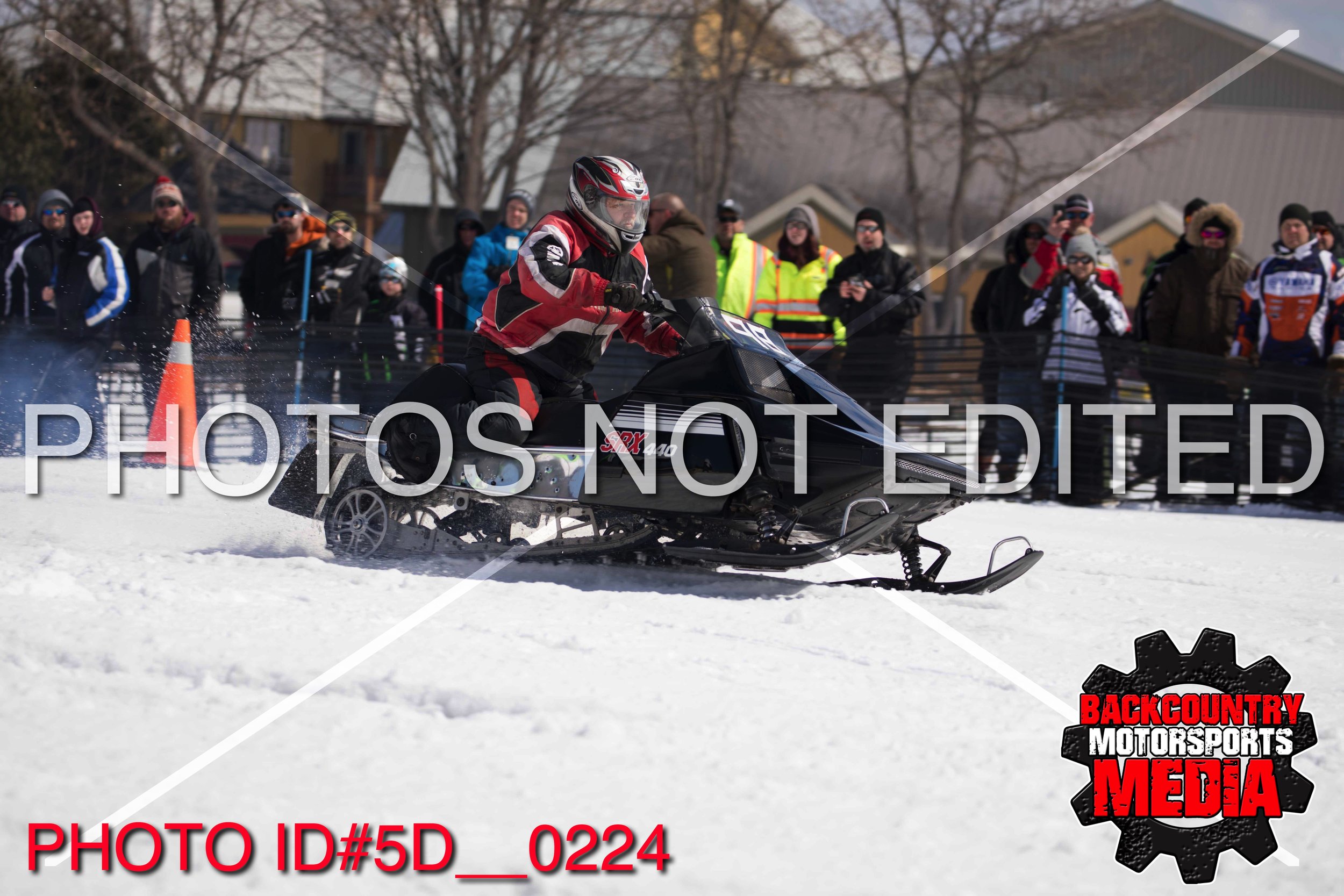 5D__0224.jpg