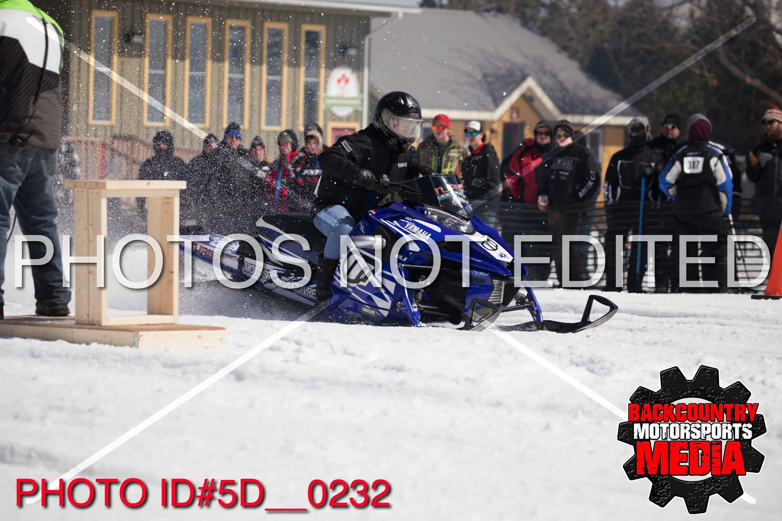 5D__0232.jpg
