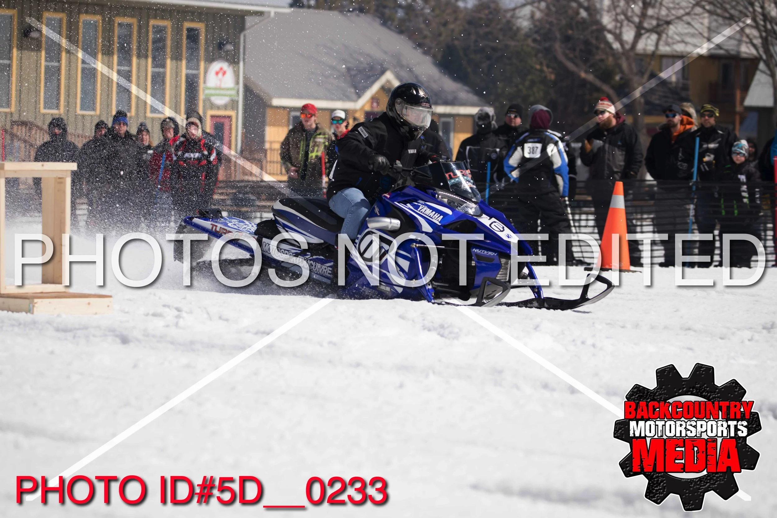 5D__0233.jpg