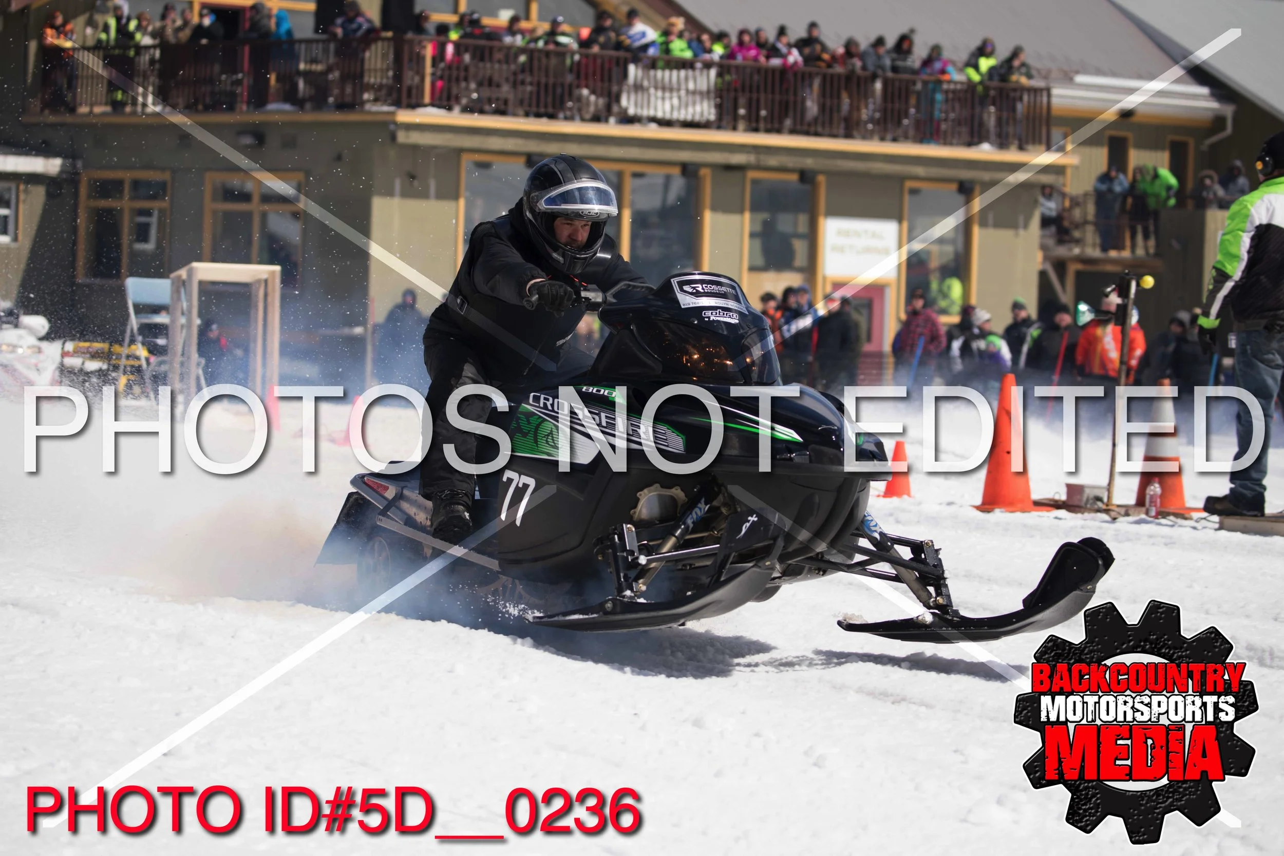 5D__0236.jpg