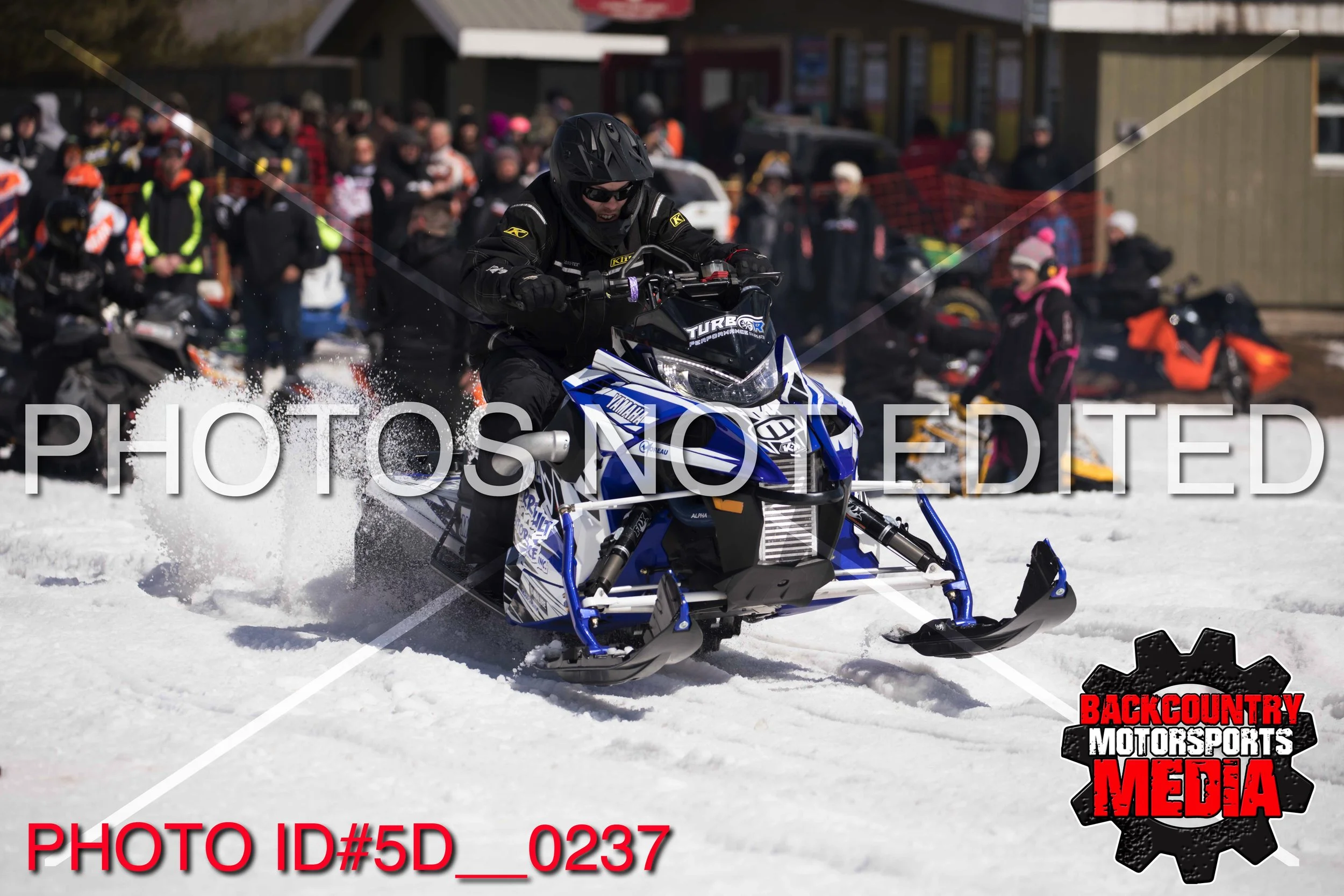 5D__0237.jpg
