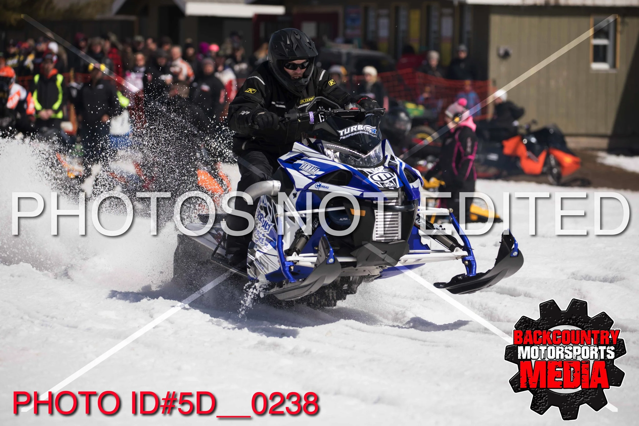 5D__0238.jpg