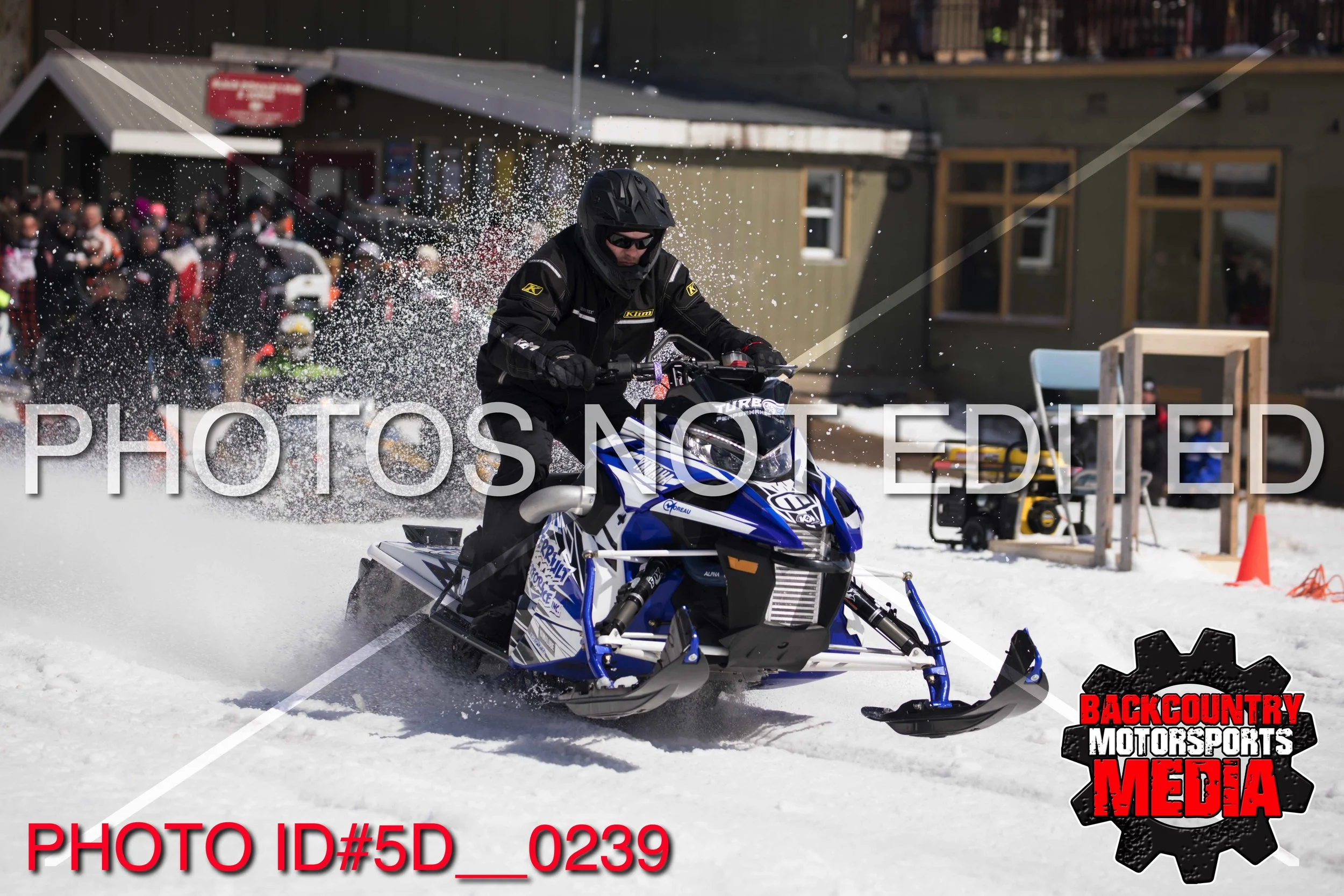5D__0239.jpg