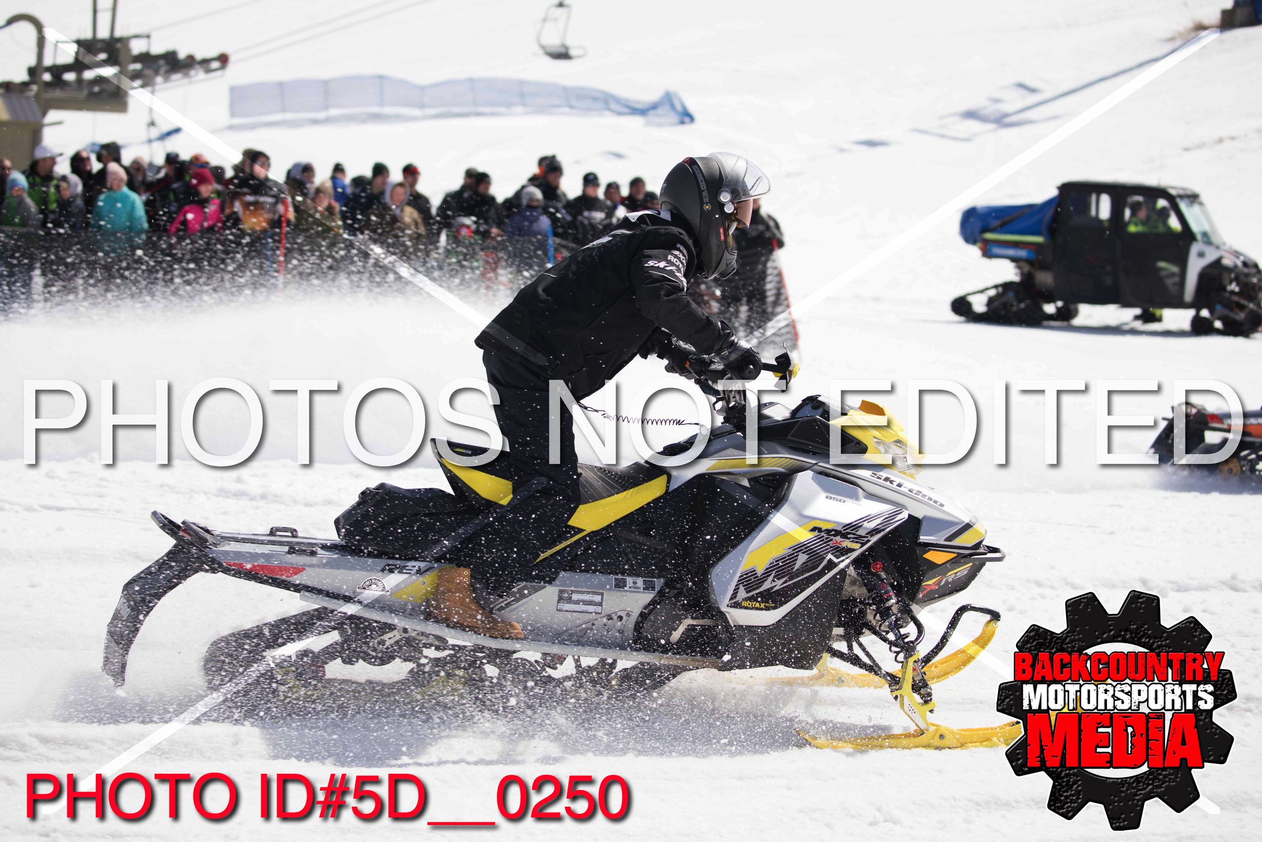 5D__0250.jpg