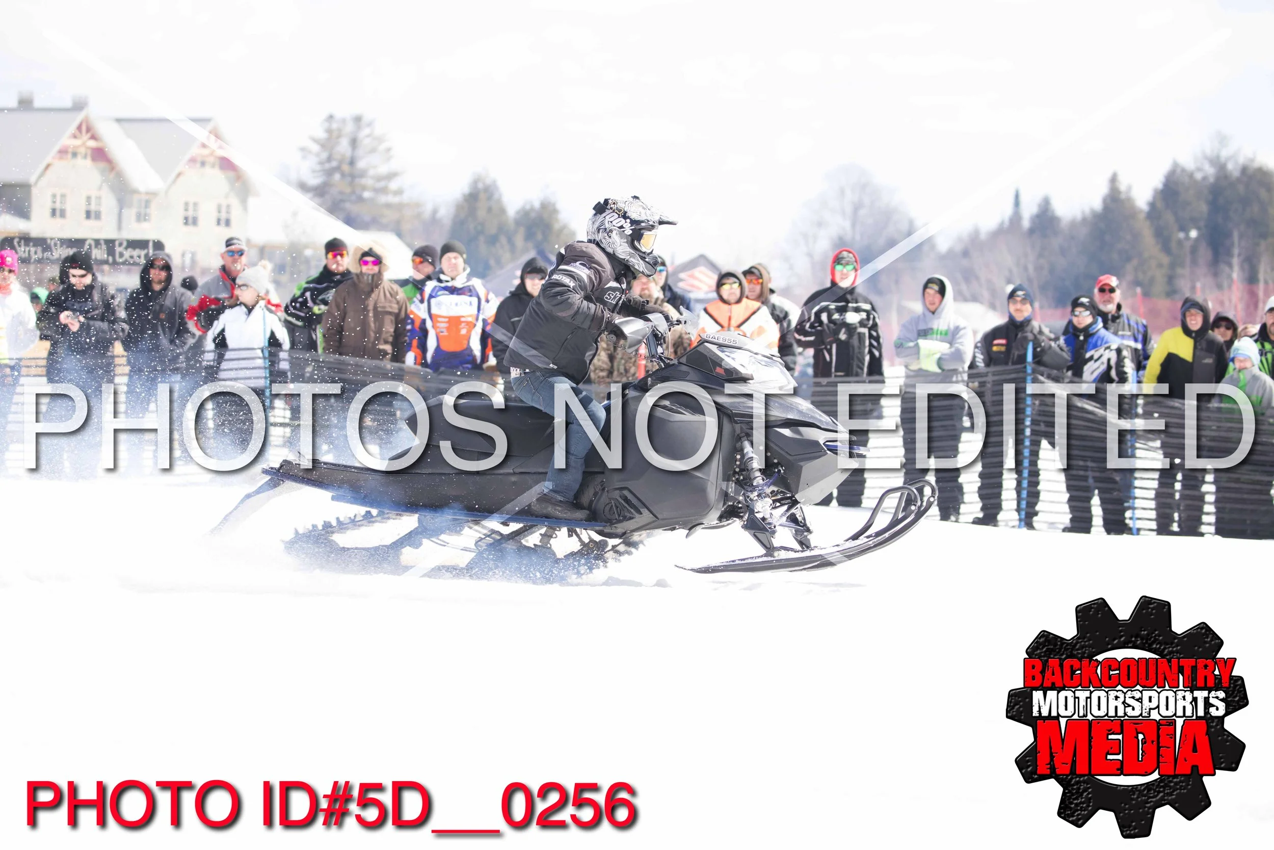5D__0256.jpg