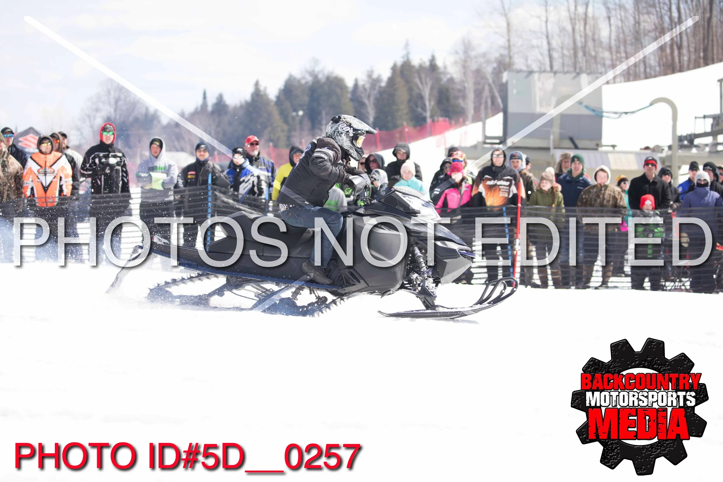 5D__0257.jpg