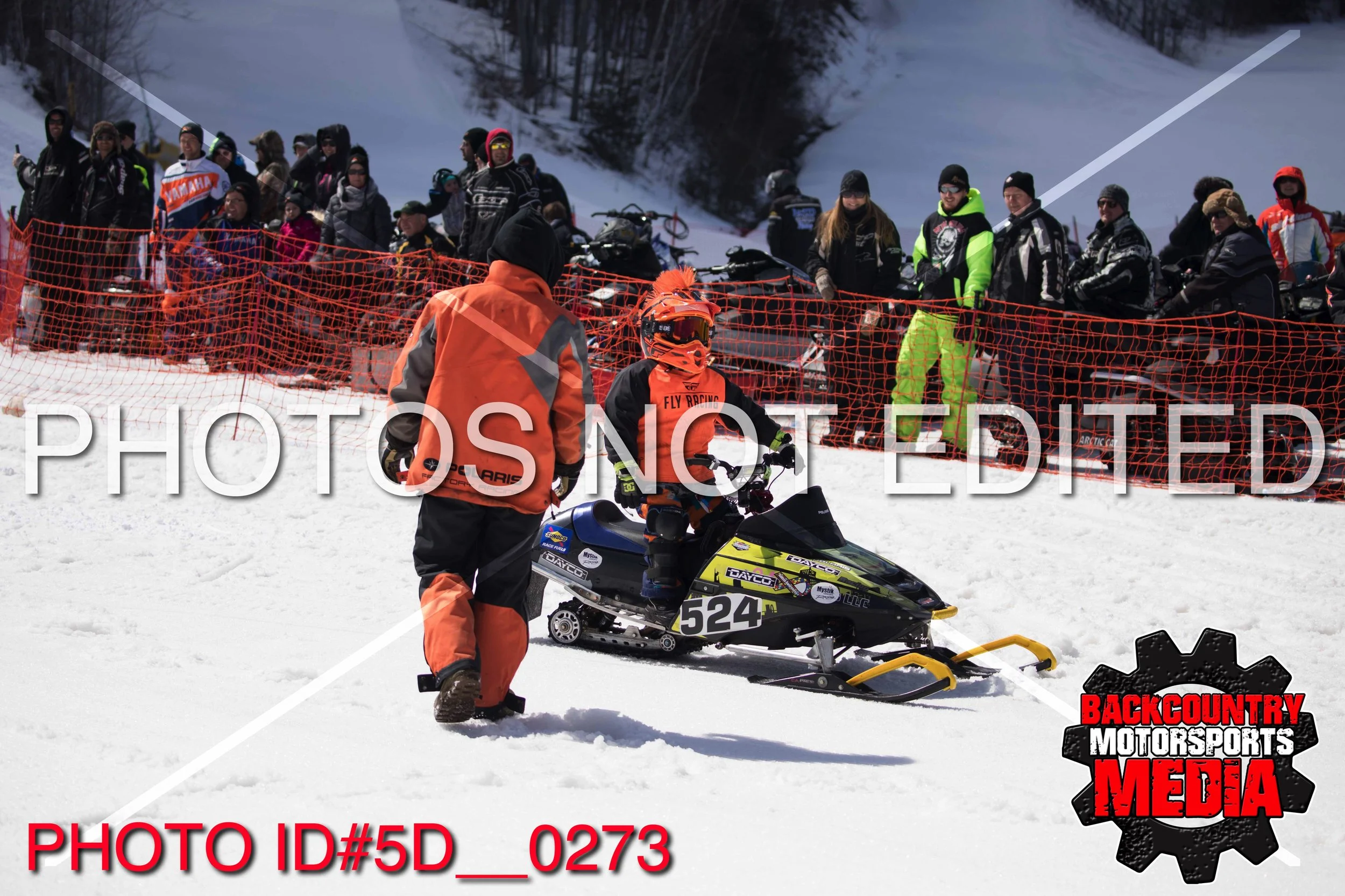 5D__0273.jpg