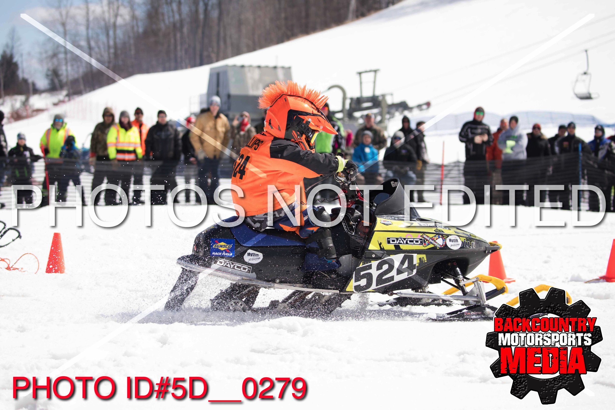 5D__0279.jpg