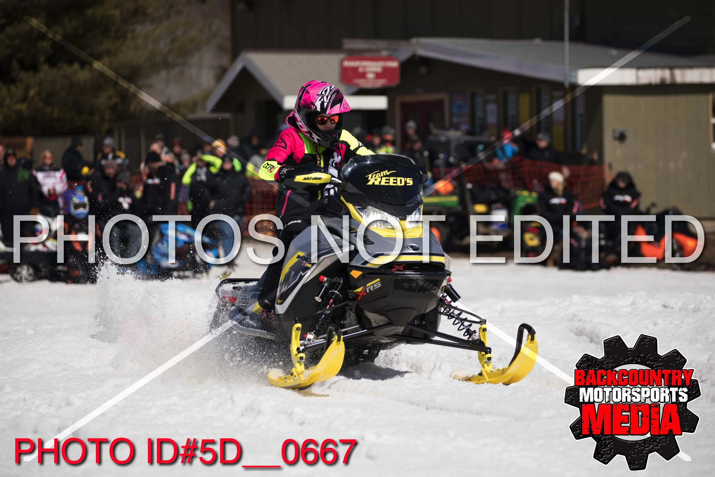 5D__0667.jpg