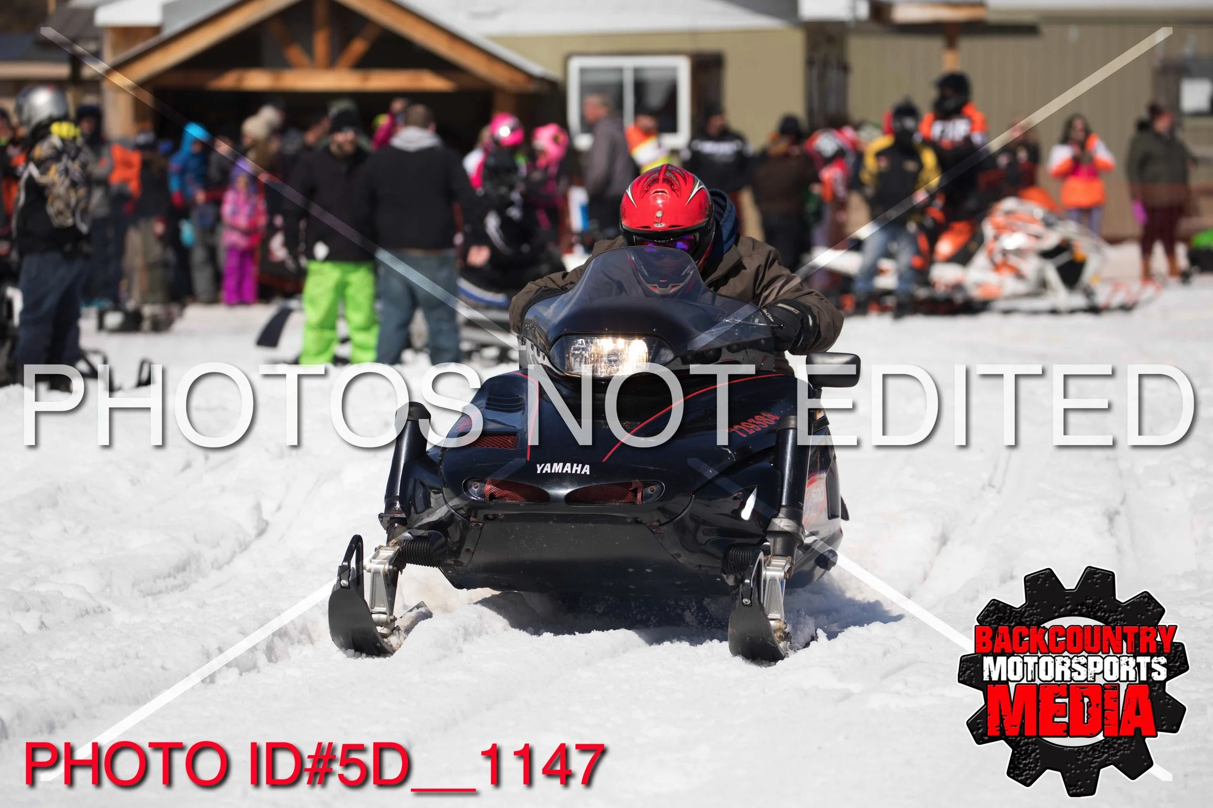 5D__1147.jpg