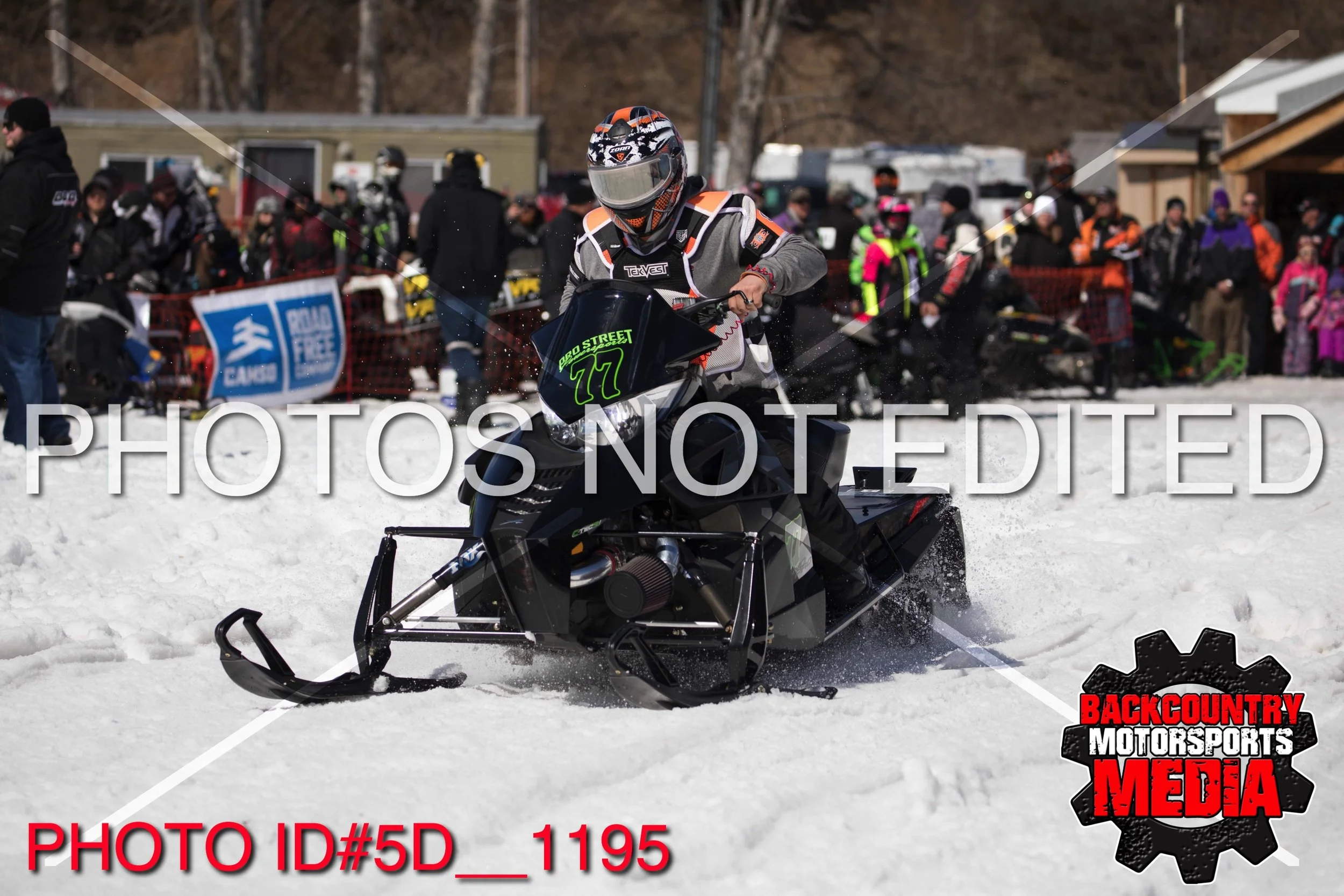 5D__1195.jpg