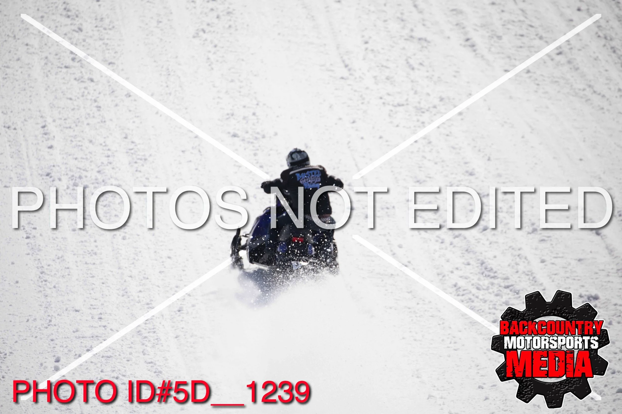 5D__1239.jpg