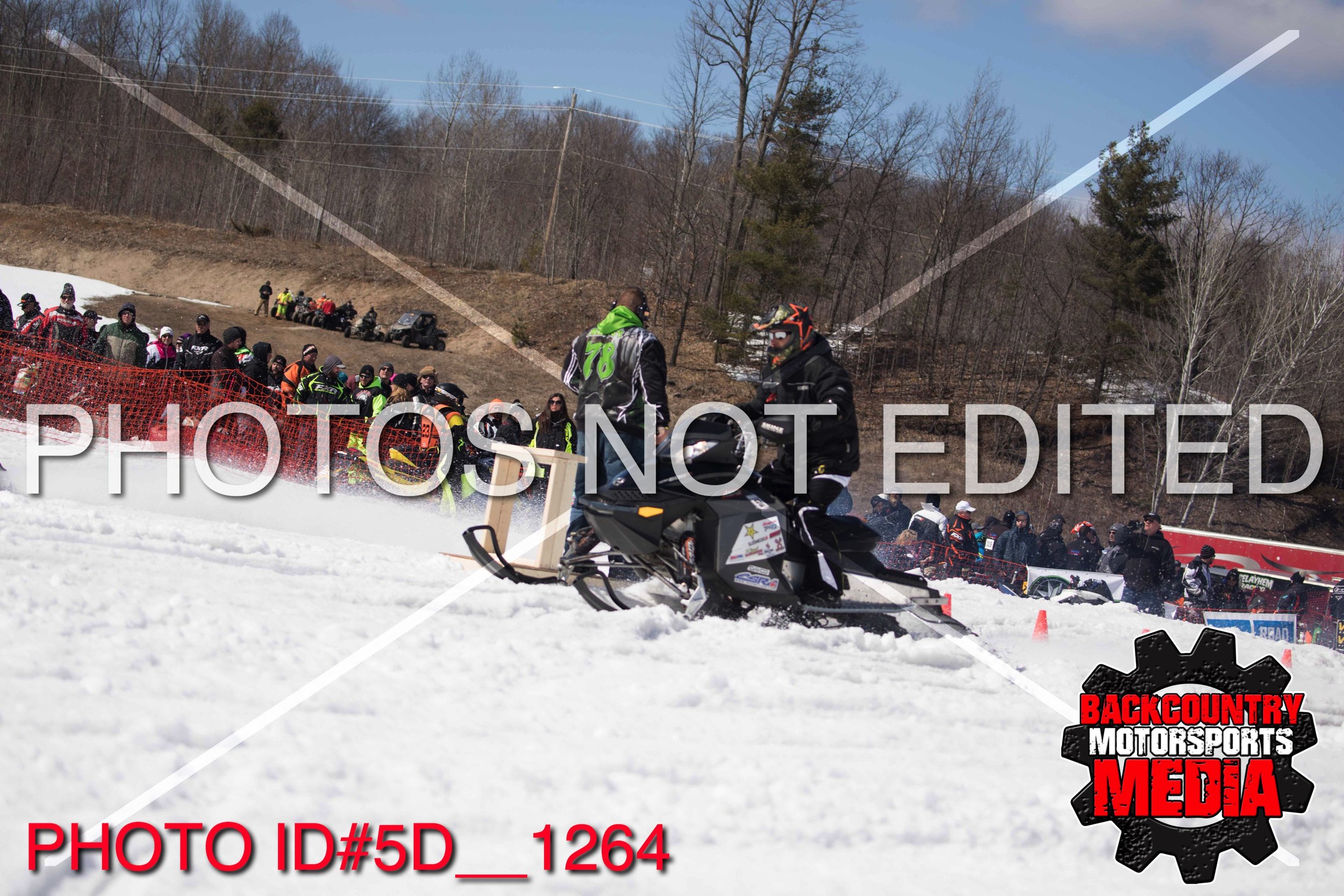 5D__1264.jpg