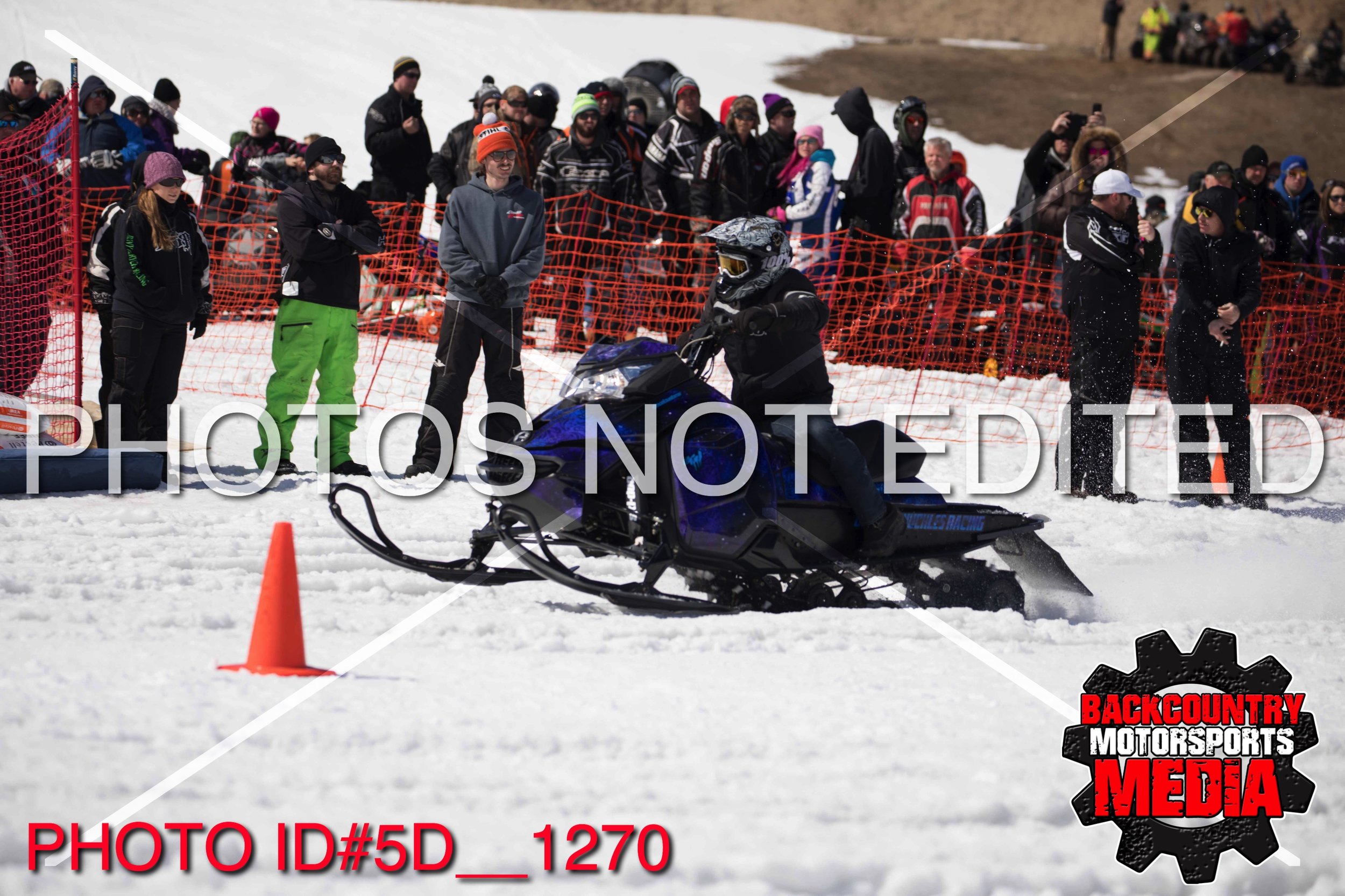 5D__1270.jpg