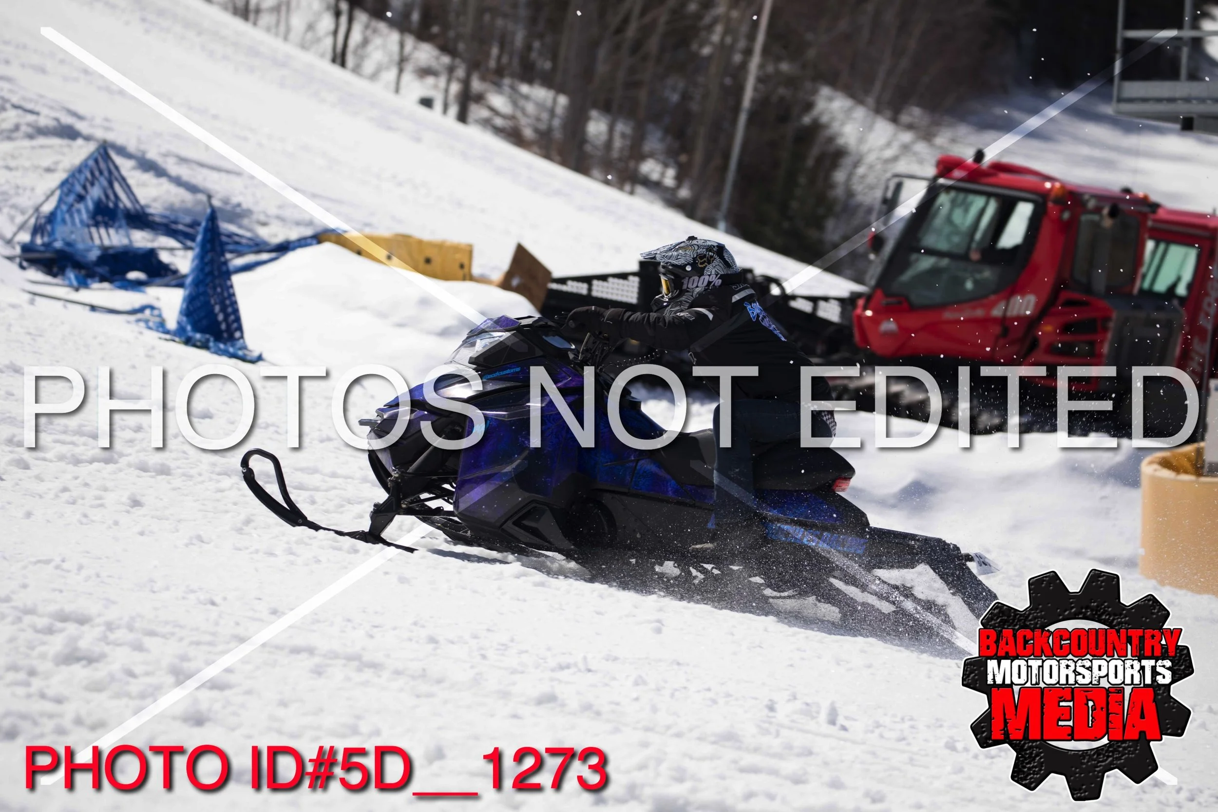 5D__1273.jpg
