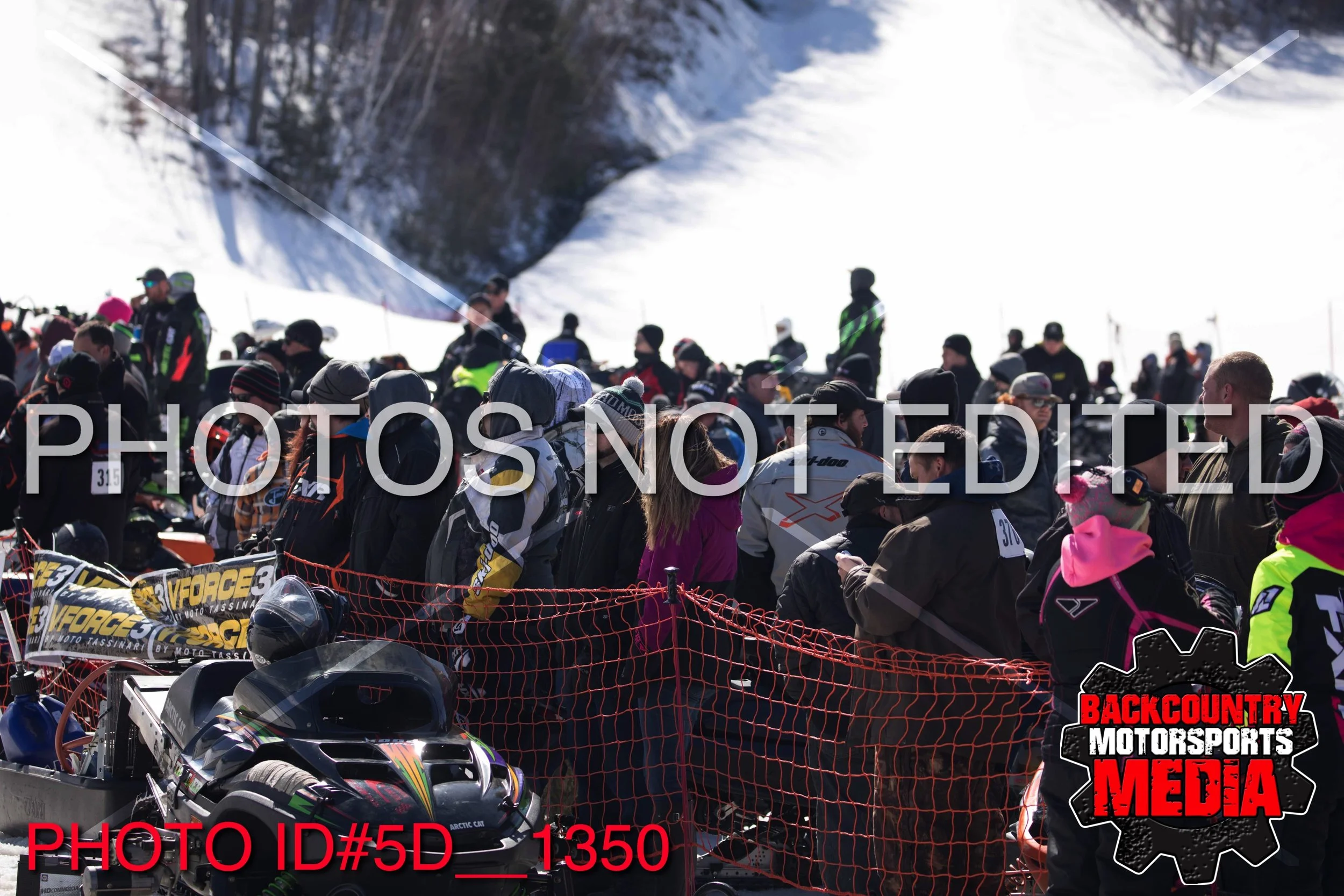 5D__1350.jpg