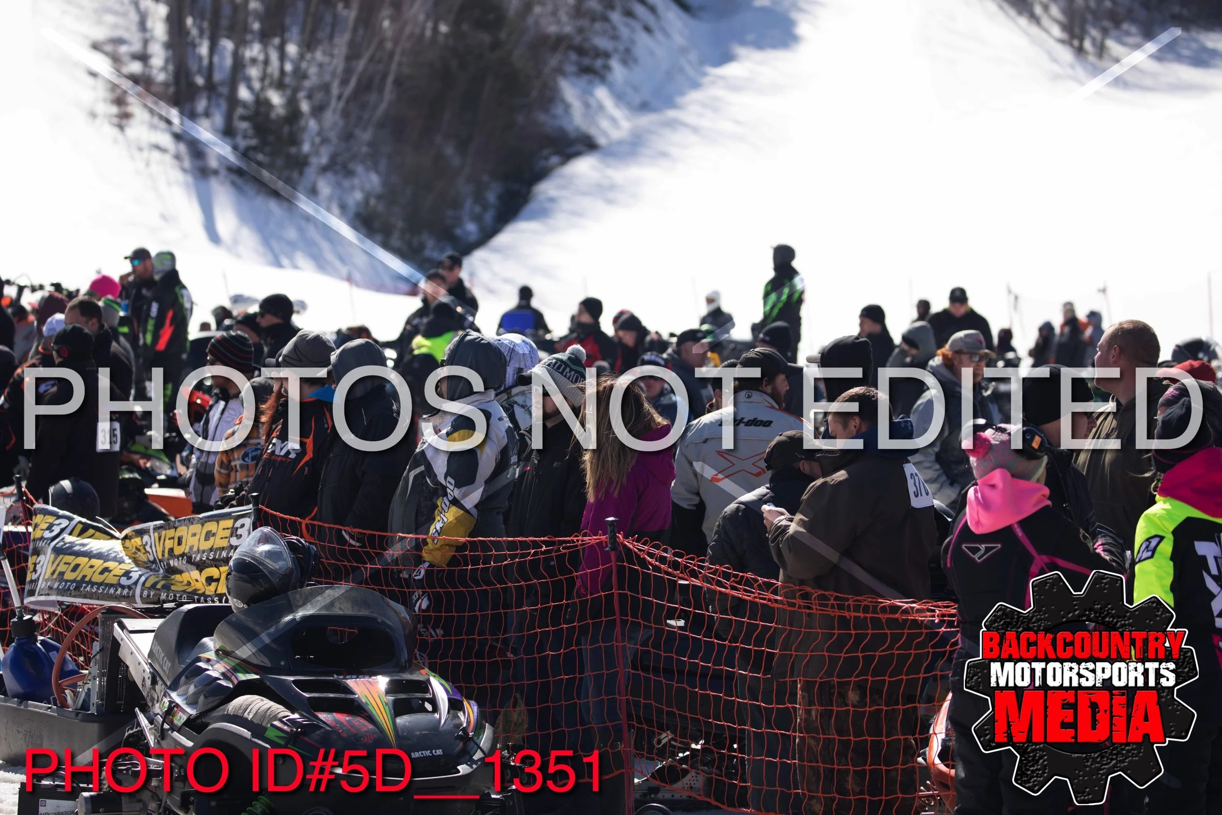 5D__1351.jpg