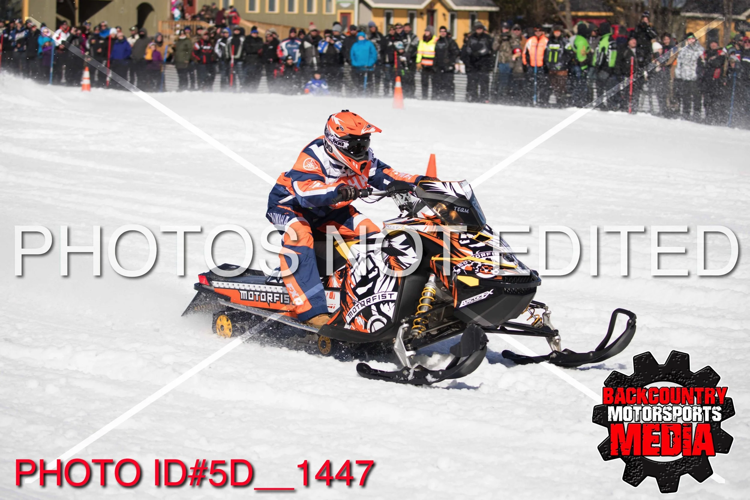 5D__1447.jpg