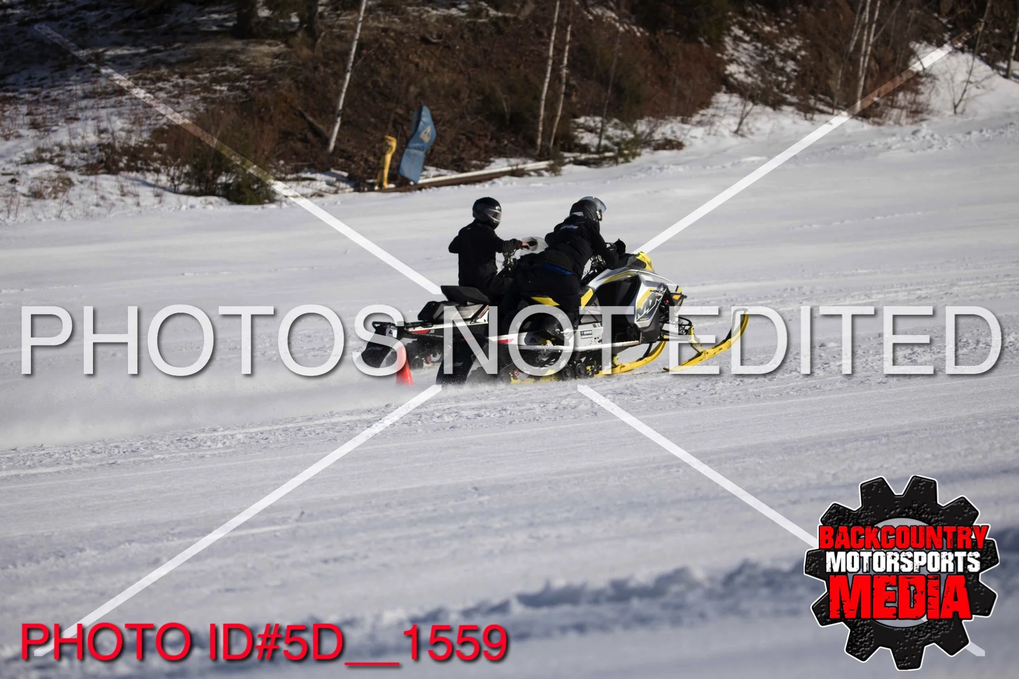 5D__1559.jpg