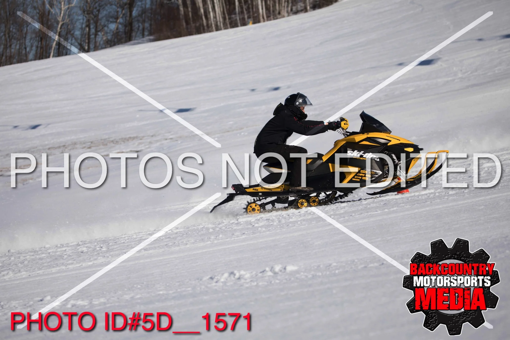 5D__1571.jpg