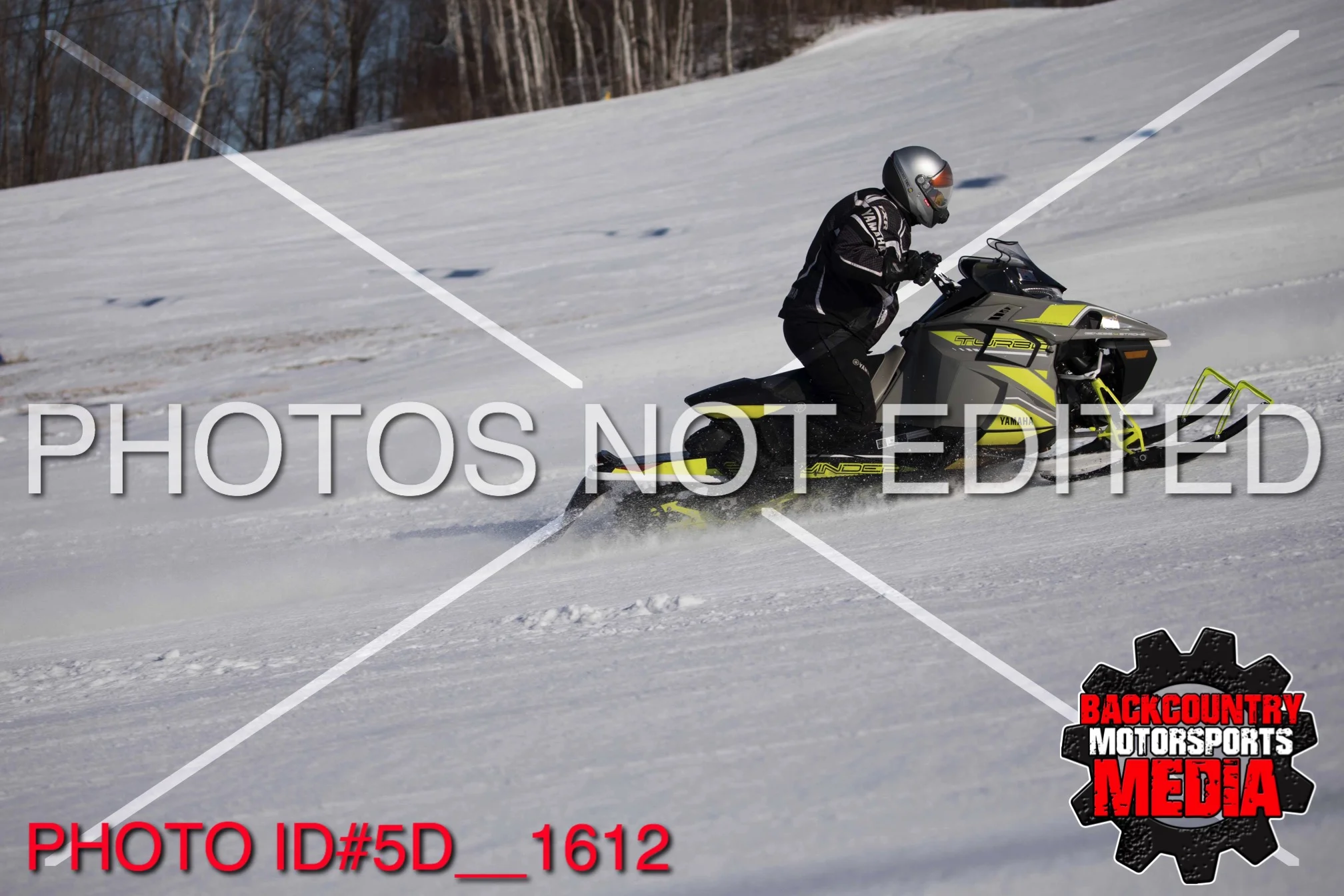 5D__1612.jpg