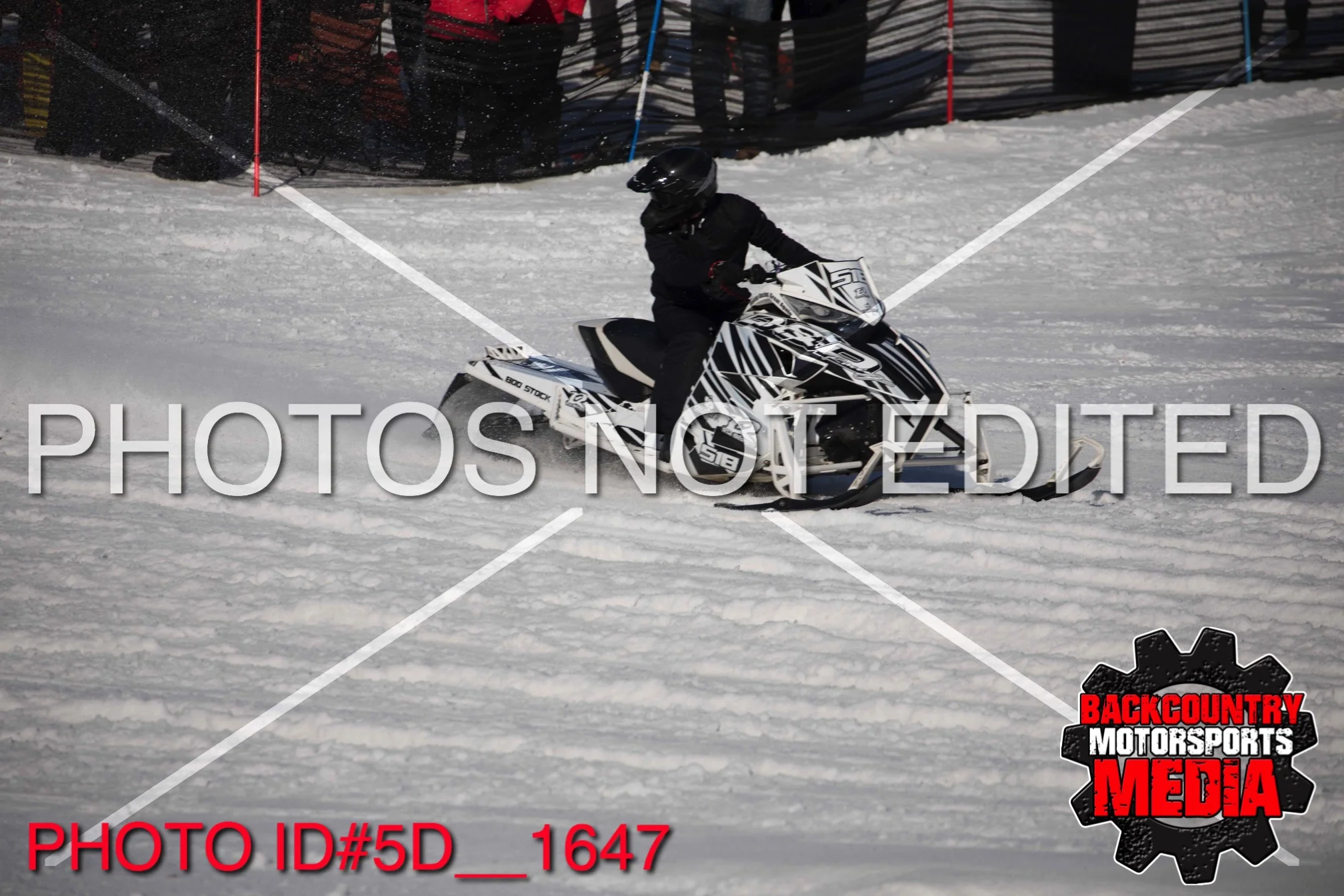 5D__1647.jpg