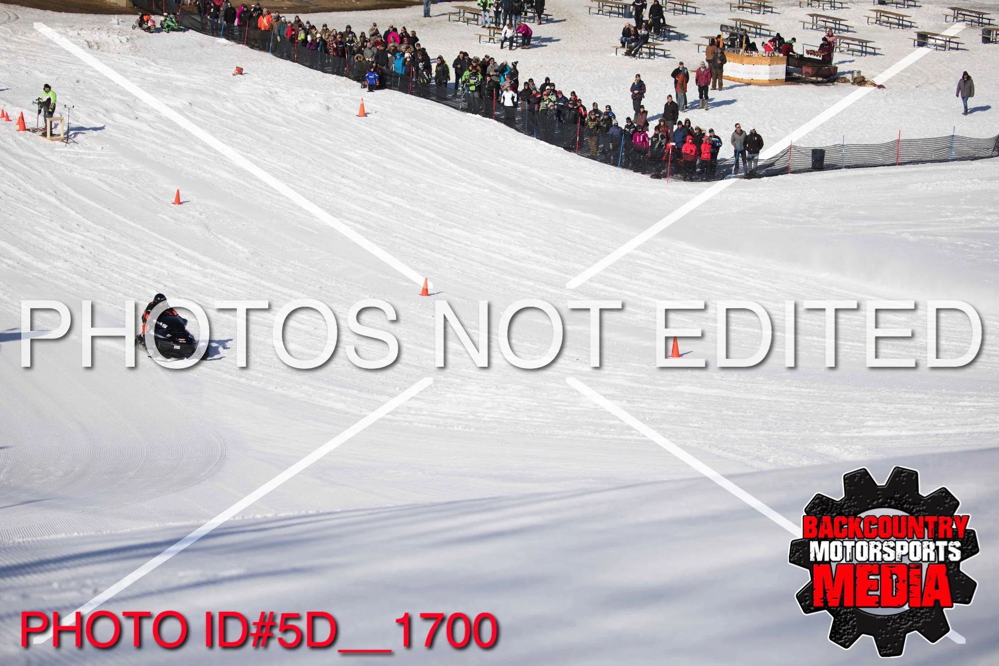 5D__1700.jpg