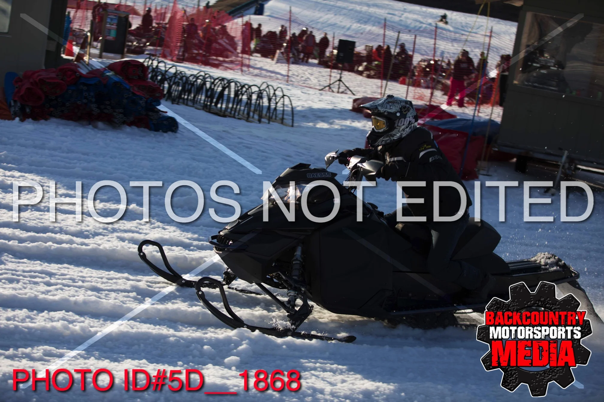 5D__1868.jpg