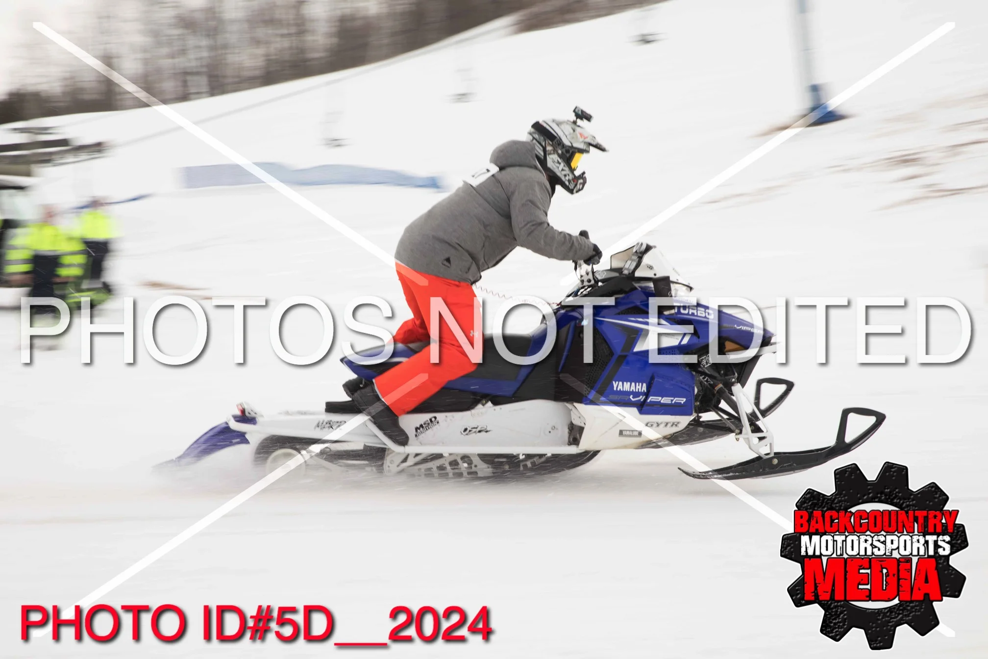 5D__2024.jpg
