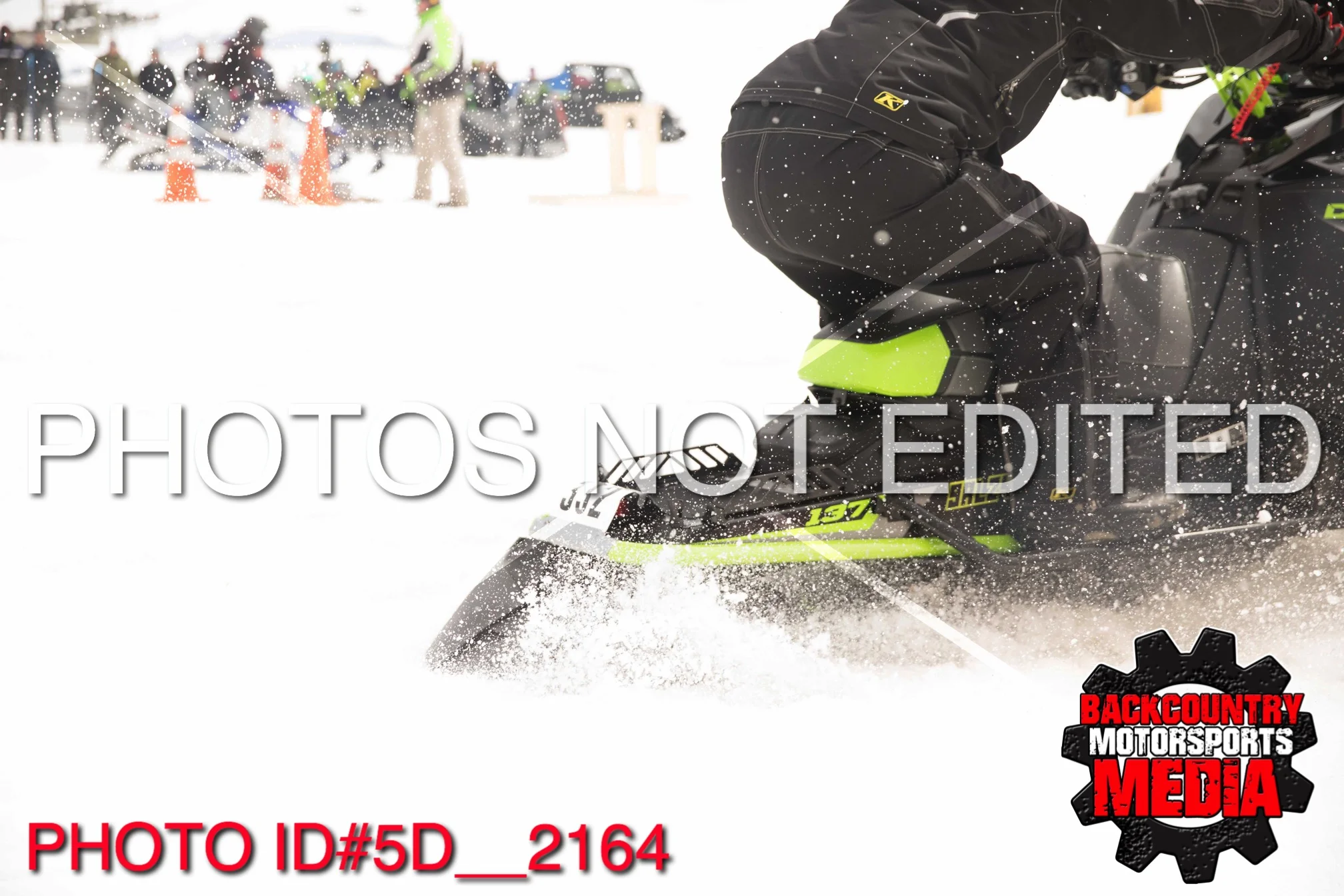 5D__2164.jpg