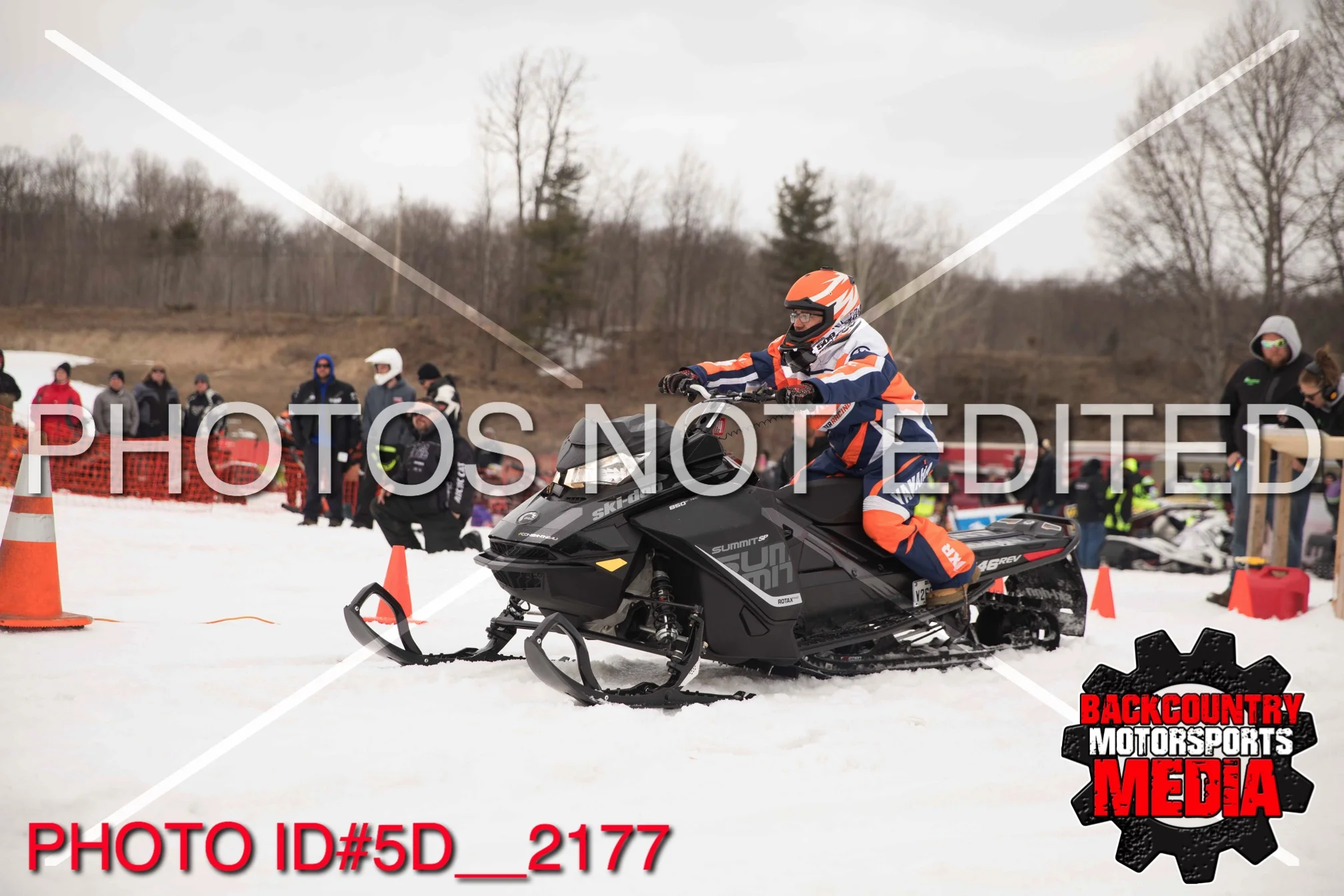 5D__2177.jpg